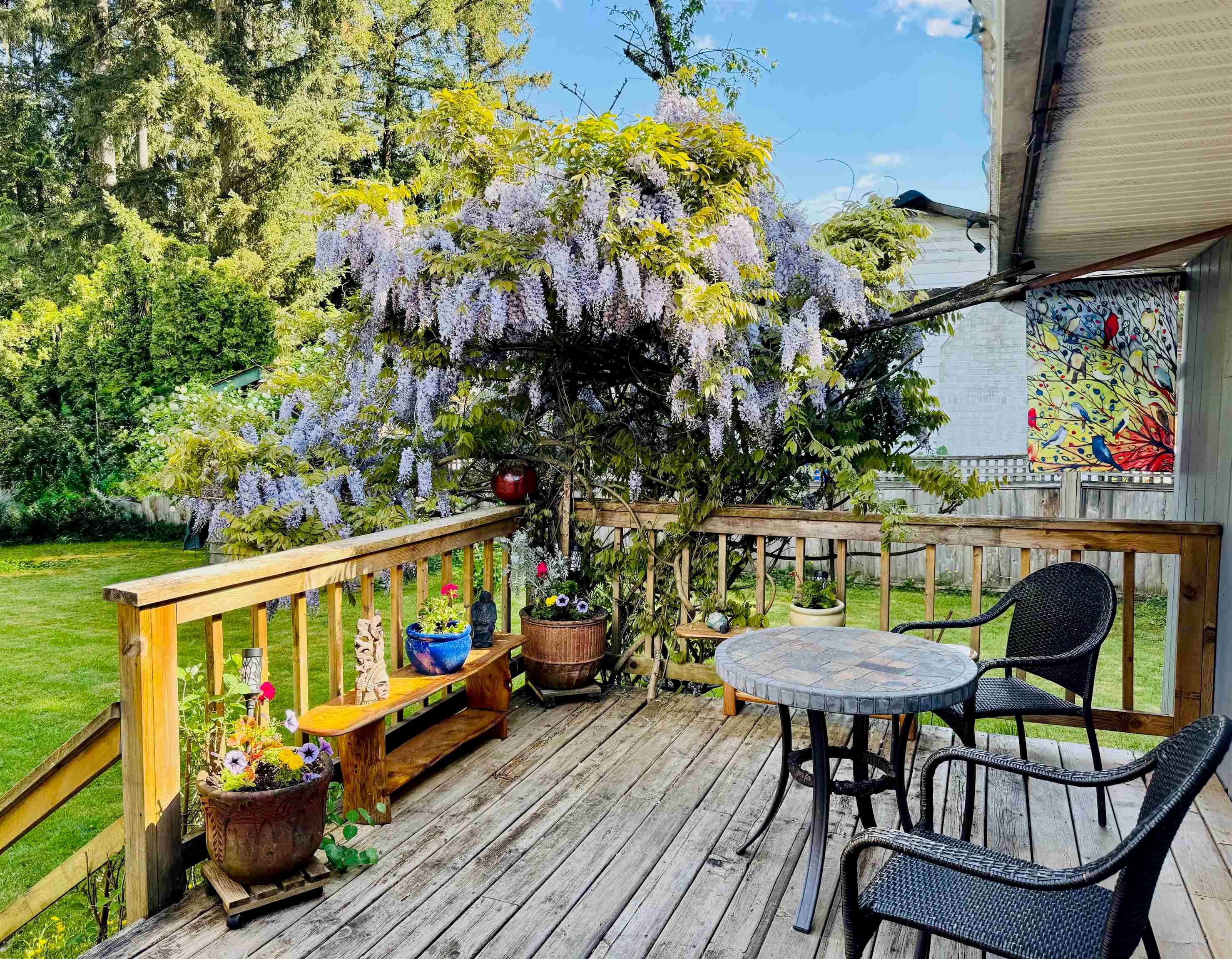 3800 204 Street, Langley, V3A 1X4 — photo 5