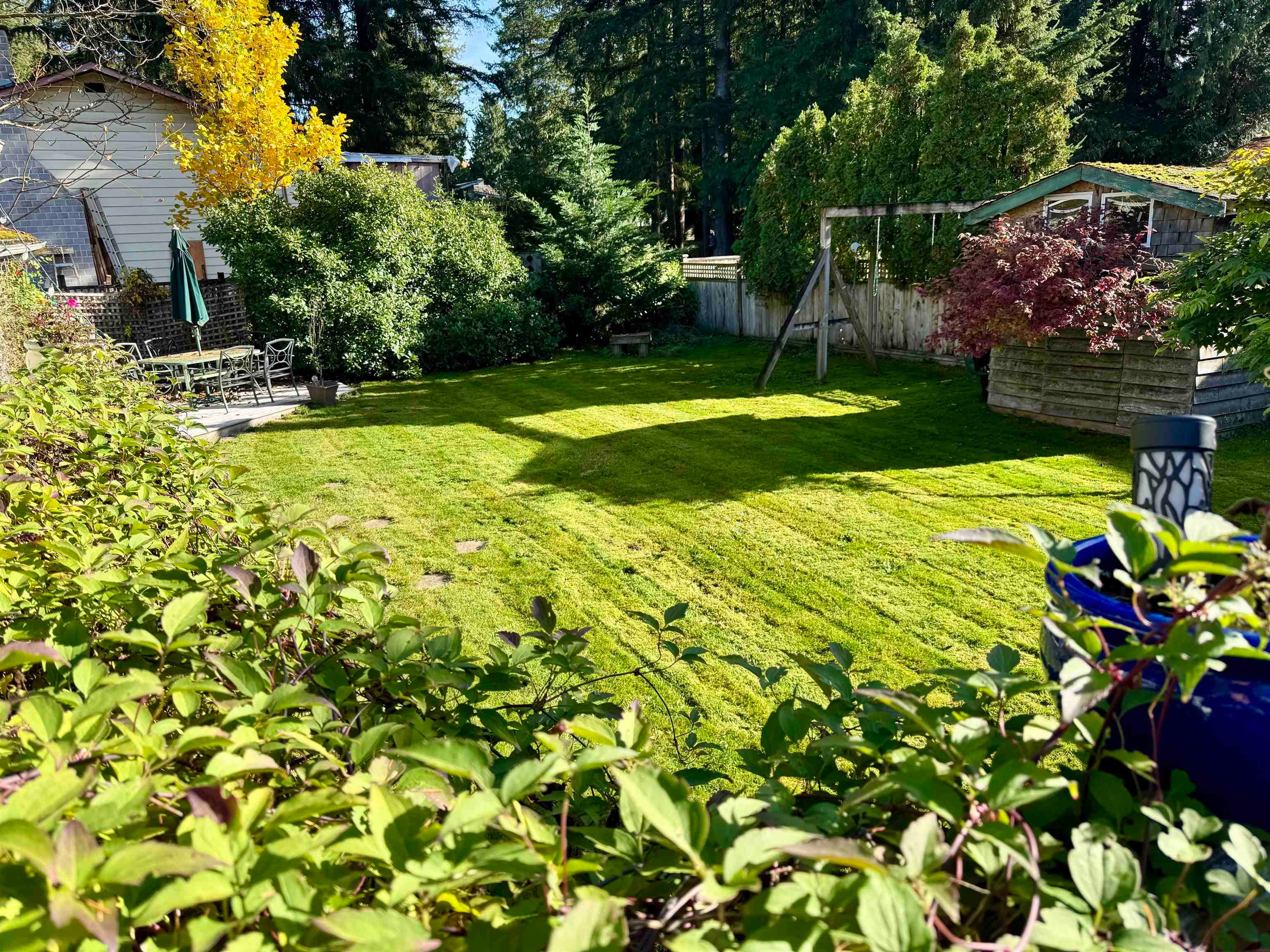 3800 204 Street, Langley, V3A 1X4 — photo 4