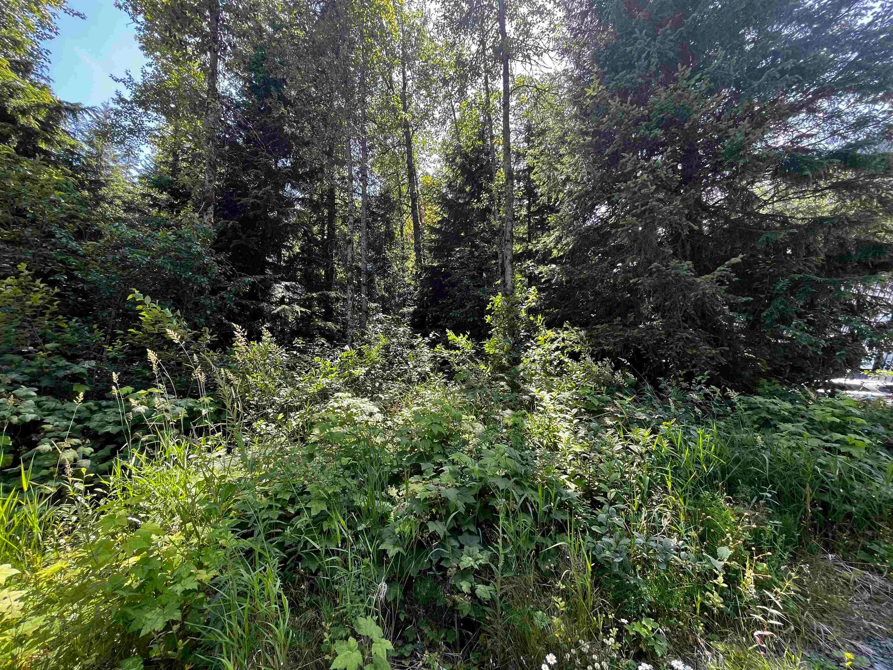 70901 Old Hope Princeton Highway, Sunshine Valley, V0X 1L5 — photo 4