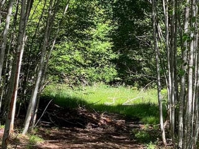 LOT 06 Cudmore Road, Salt Spring Island, V8K 2Y1 — photo 2