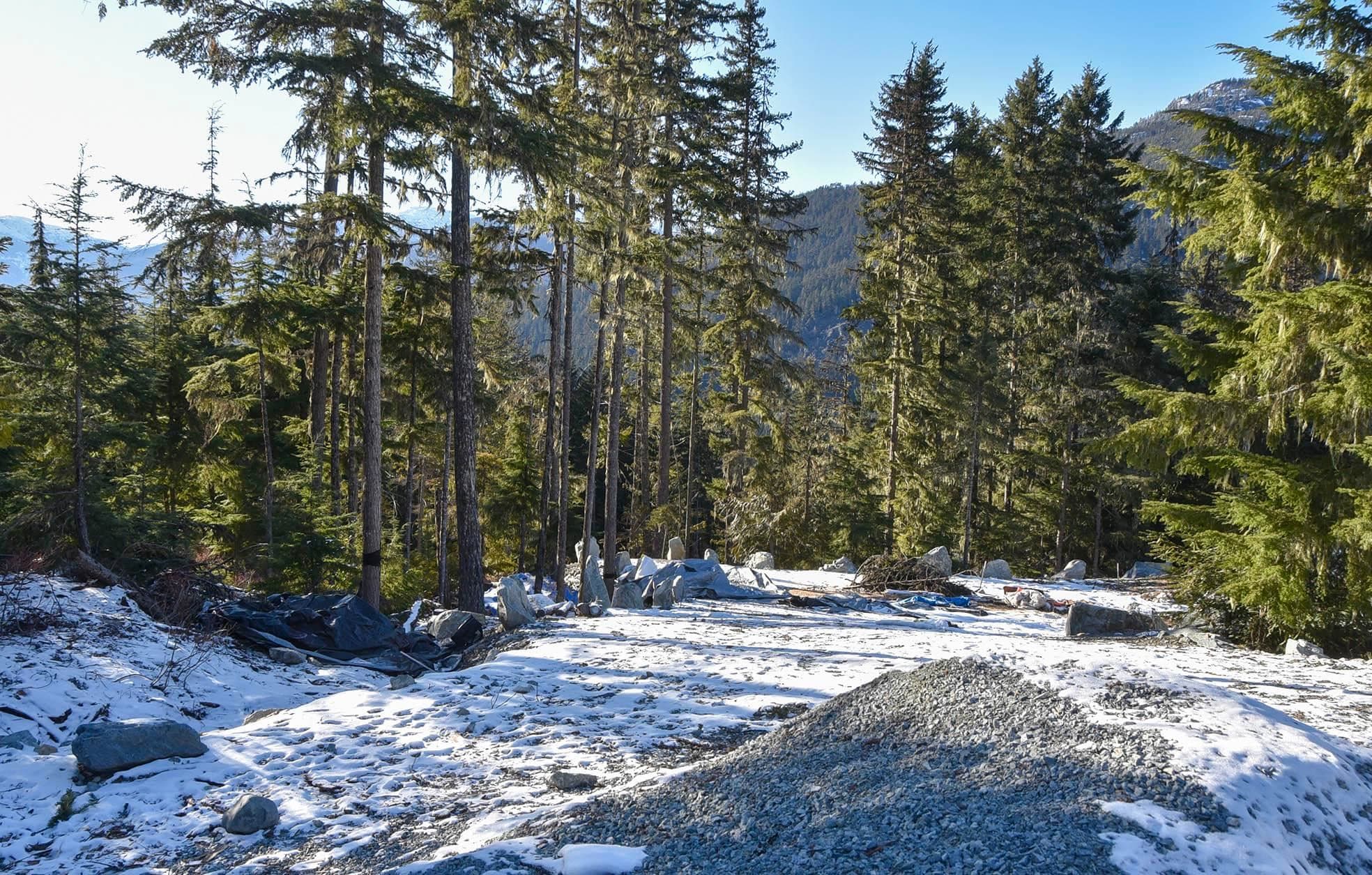 9325 Warbler Way, Whistler, V8E 1M1 — photo 1
