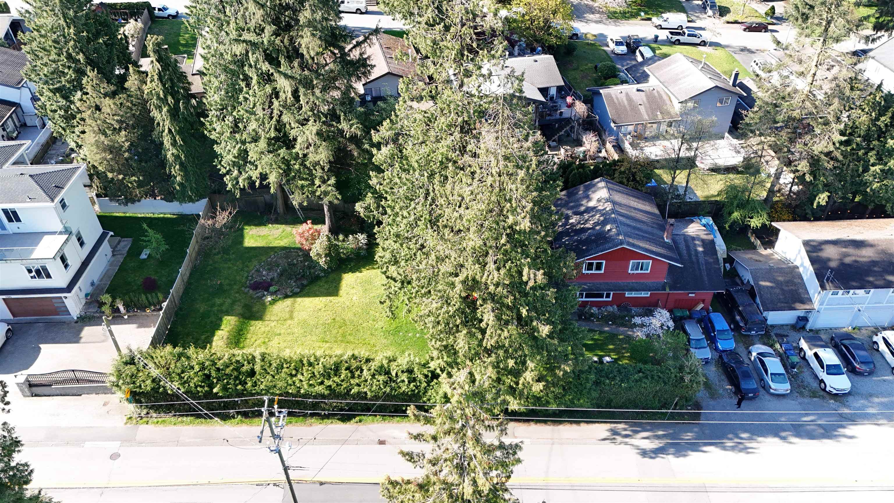 11562 Millar Road, Surrey, V3V 2T9 — photo 2