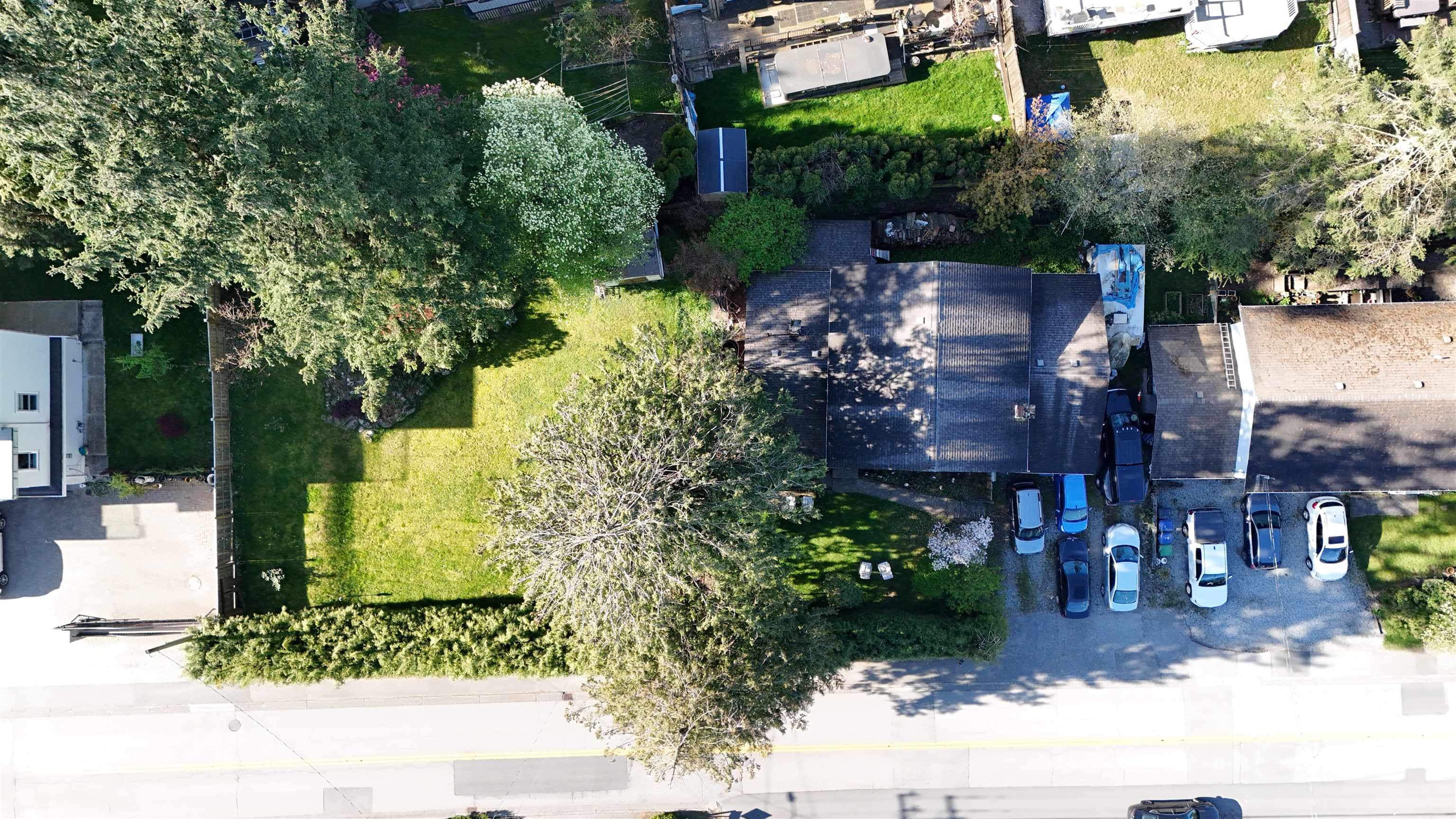 11562 Millar Road, Surrey, V3V 2T9 — photo 3