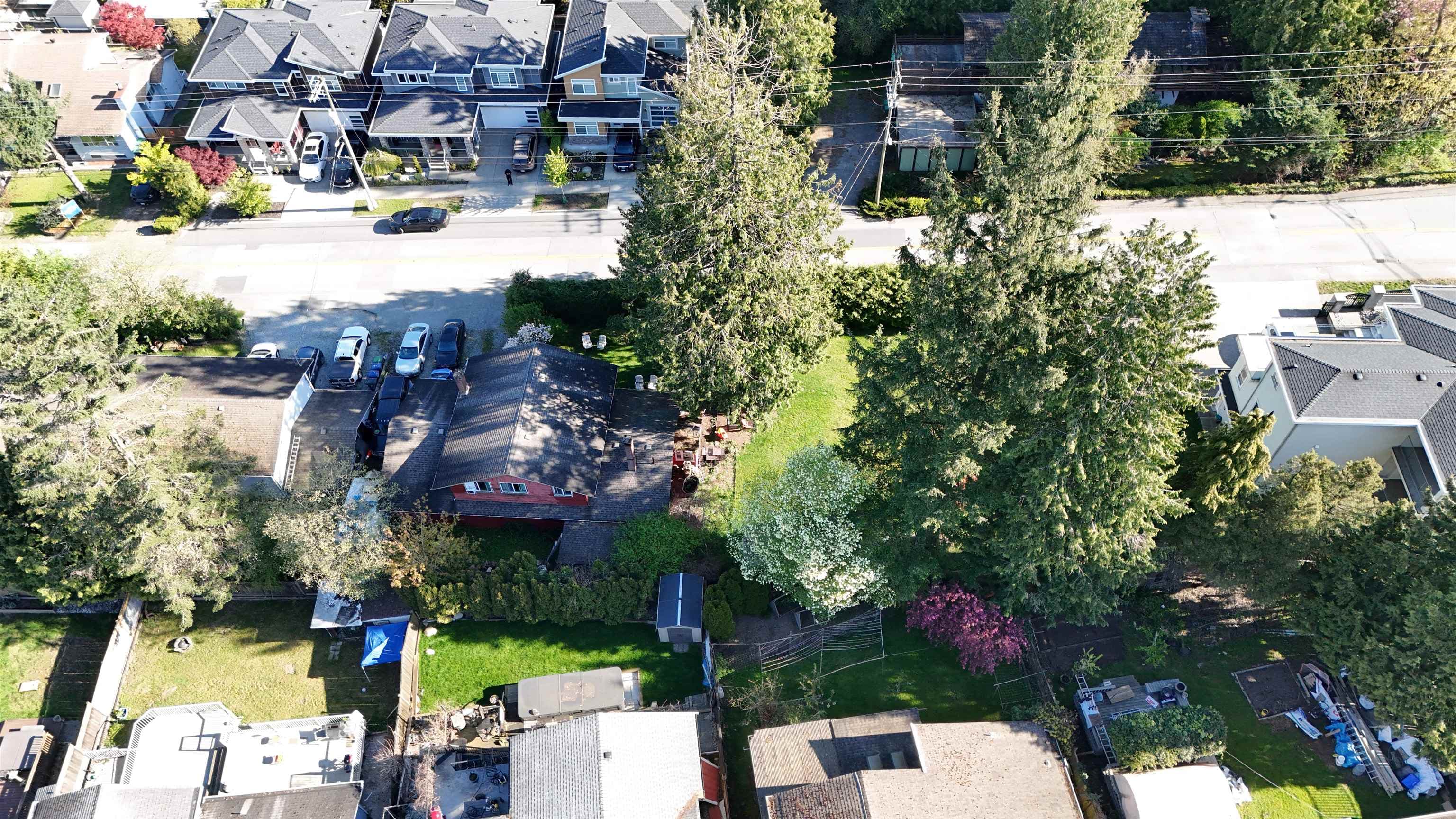 11562 Millar Road, Surrey, V3V 2T9 — photo 4