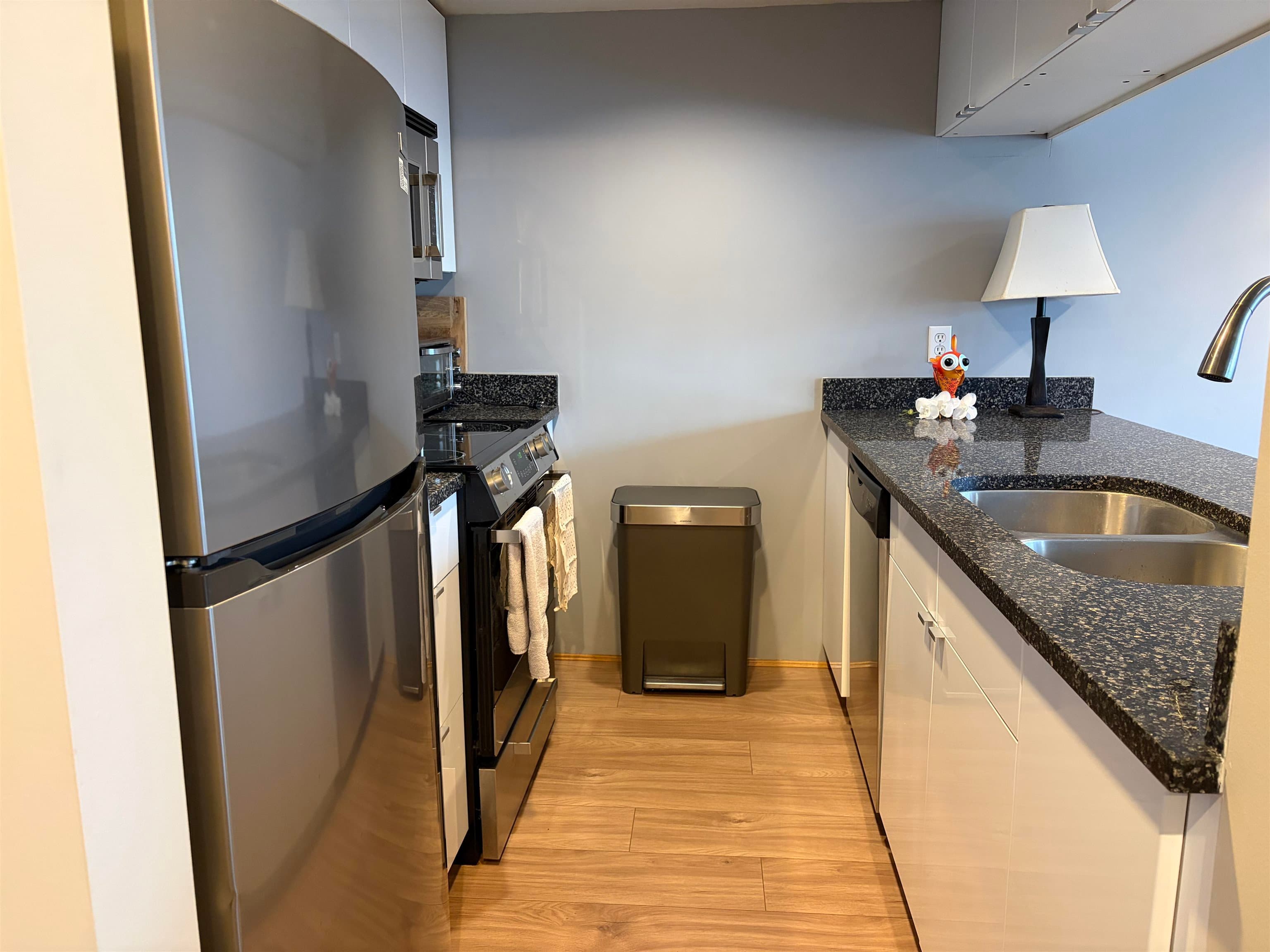 510 - 1060 Alberni Street, Vancouver, V6E 1A3 — photo 3