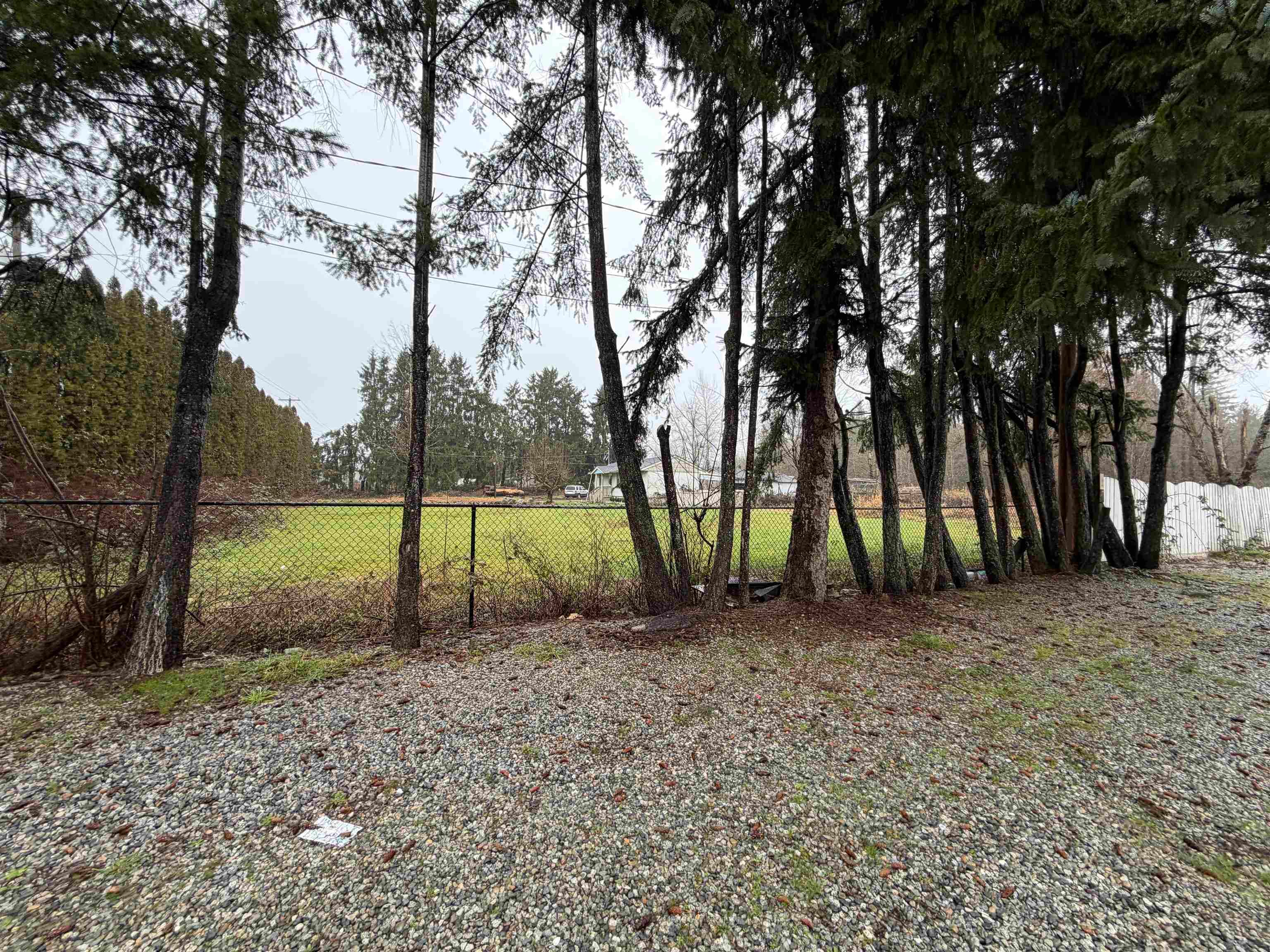 11394 240 Street, Maple Ridge, V2W 0B4 — photo 4