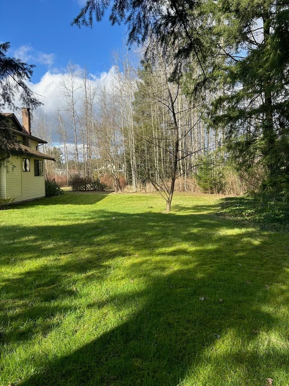 24765 50 Avenue, Langley, V2Z 1E4 — photo 4