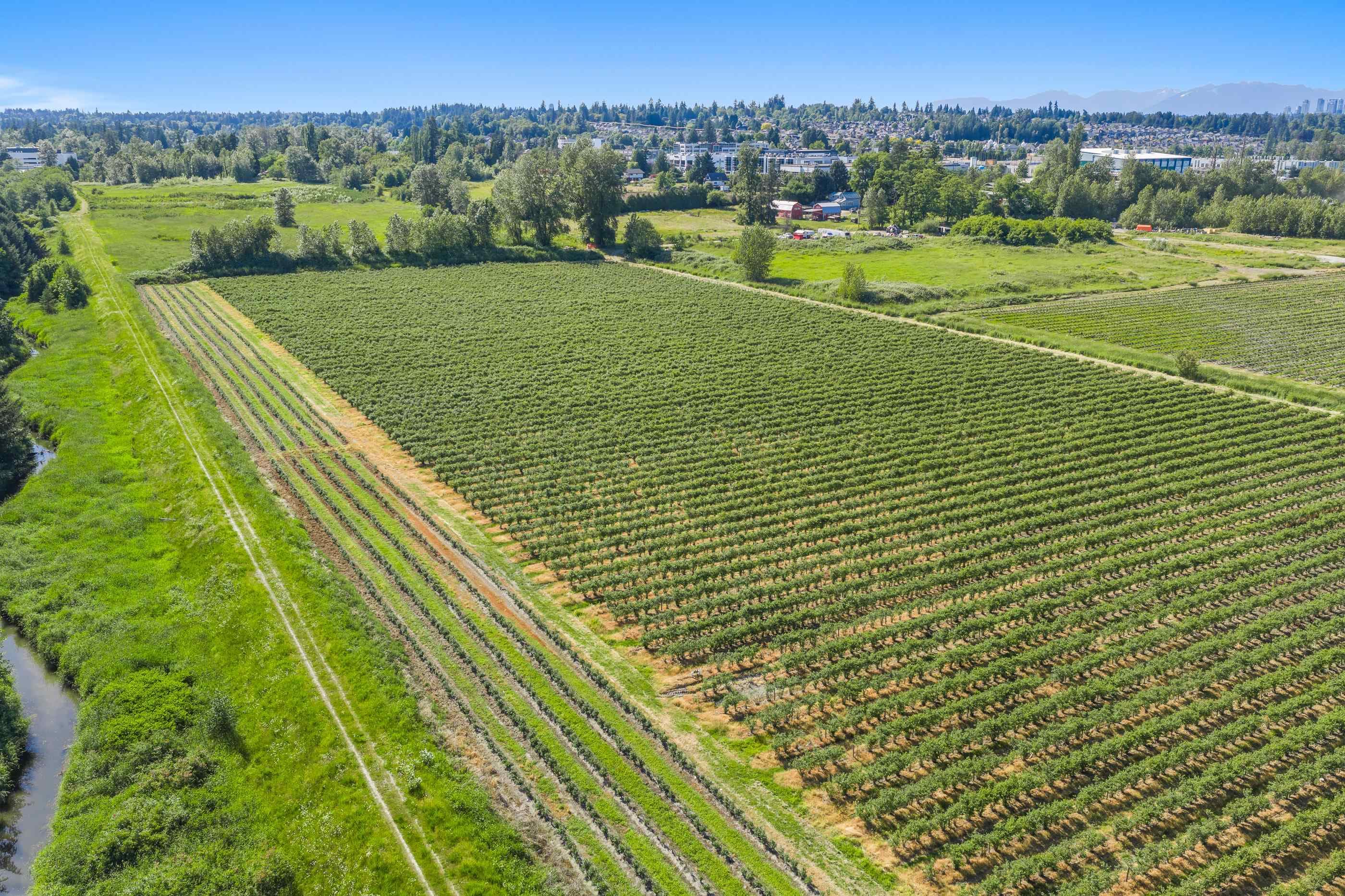15683 64 Avenue, Surrey, V3S 2A2 — photo 4