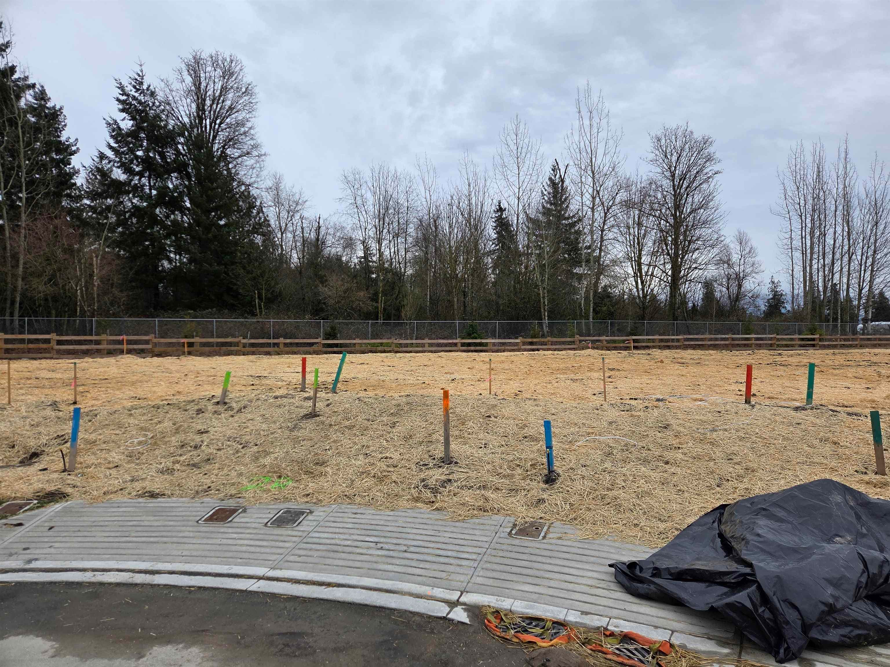 2588 Crossing Court, Abbotsford, V4X 1H4 — photo 3