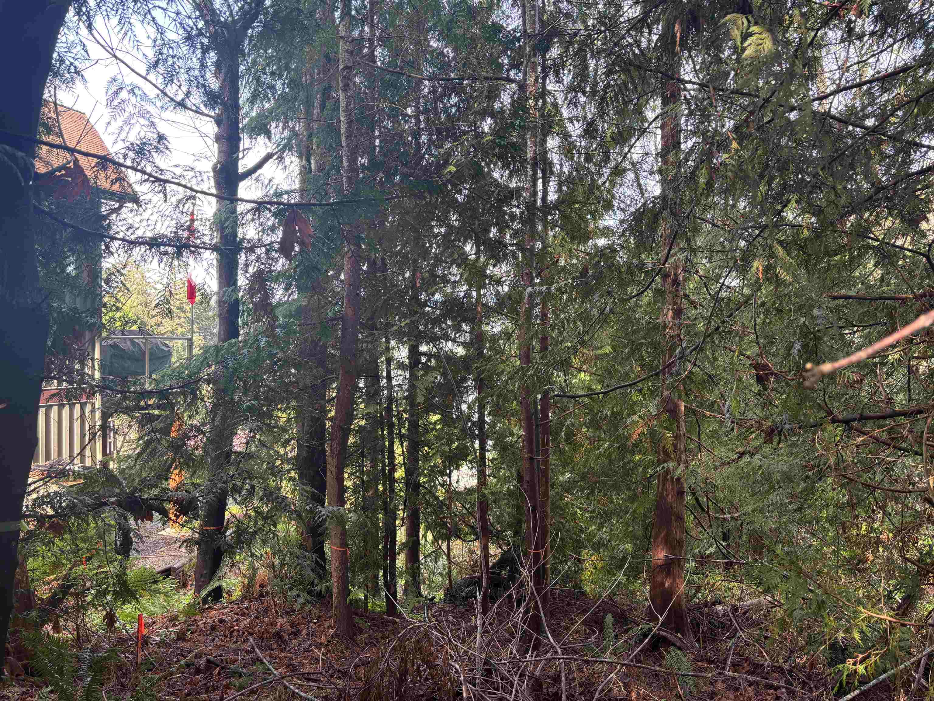LOT 39 Sandy Hook Road, Sechelt, V0N 3A7 — photo 3
