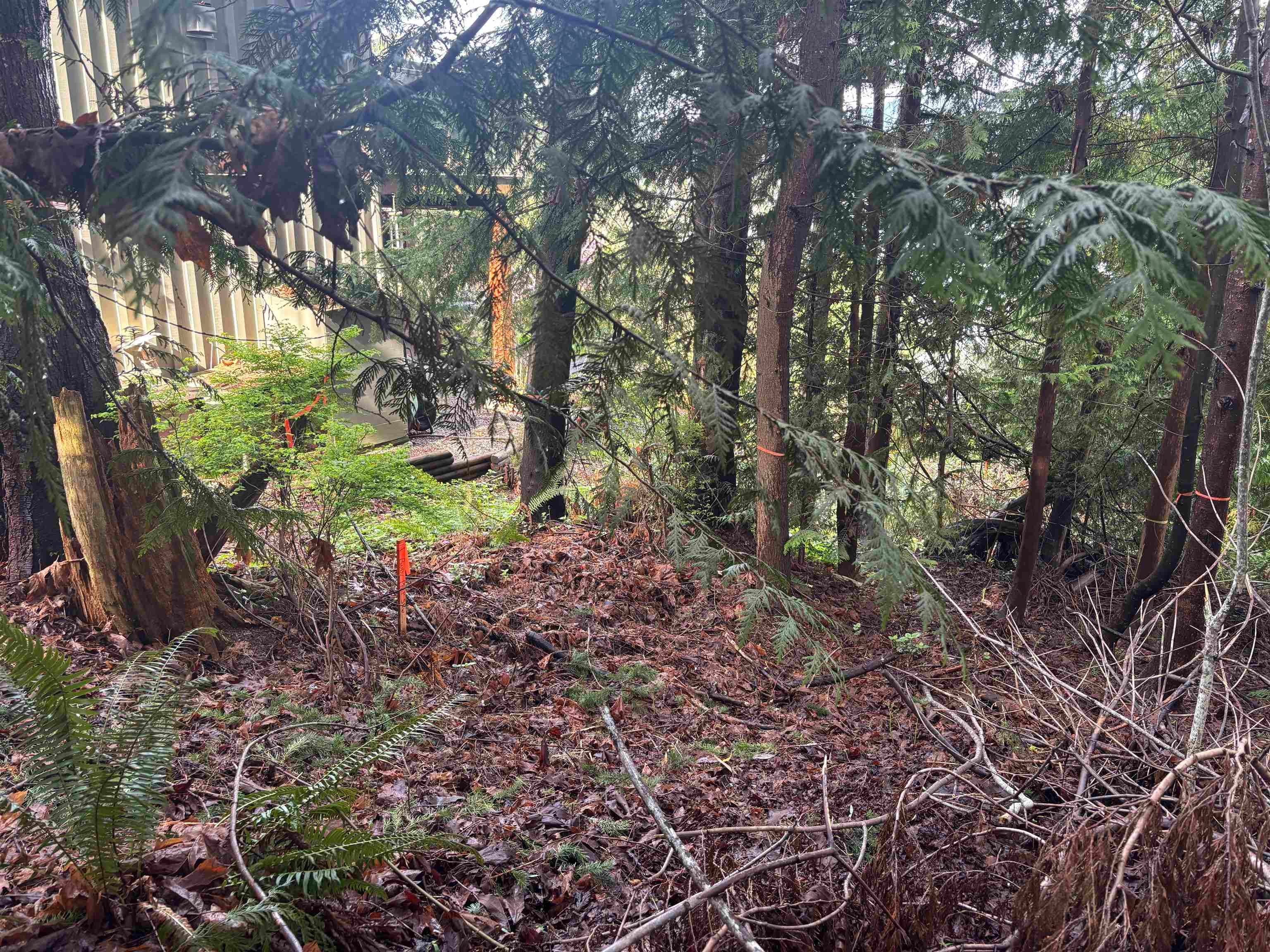 LOT 39 Sandy Hook Road, Sechelt, V0N 3A7 — photo 5