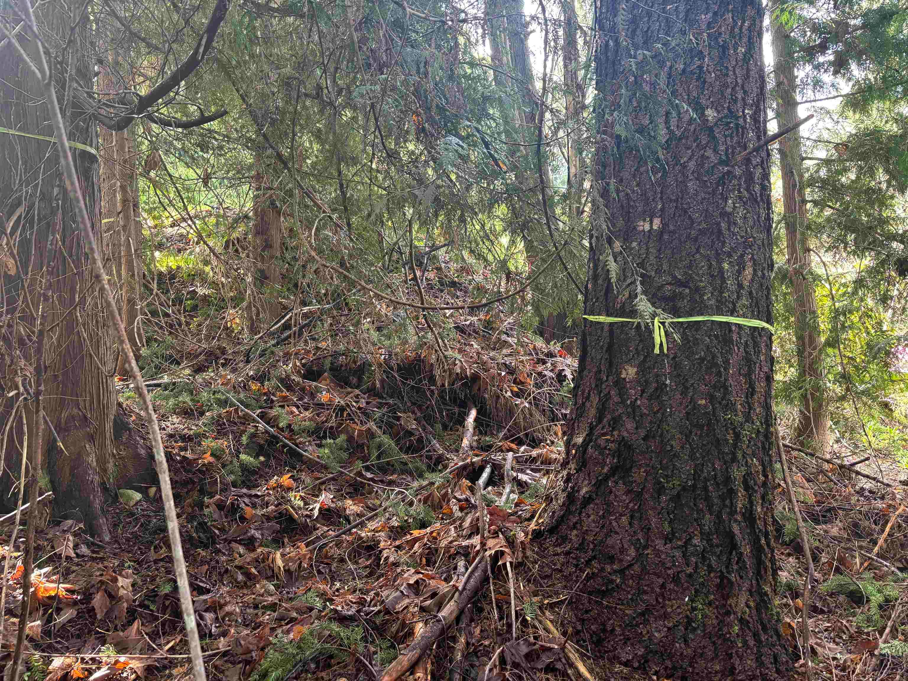 LOT 39 Sandy Hook Road, Sechelt, V0N 3A7 — photo 4
