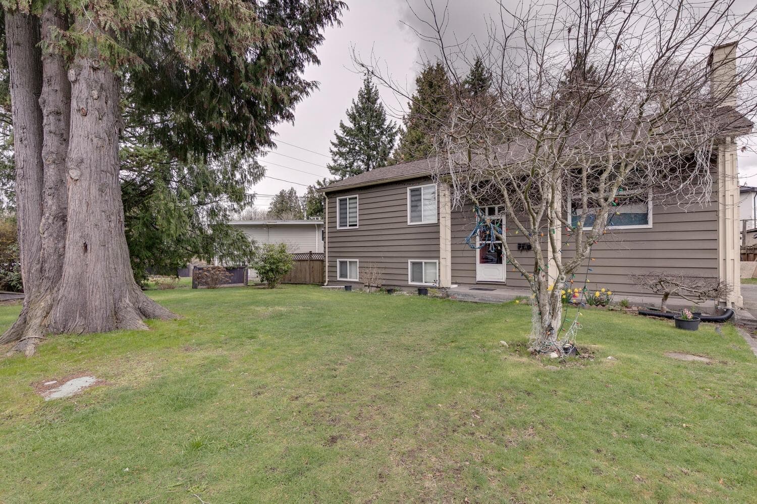 10969 86a Avenue, Delta, V4C 2Y3 — photo 3