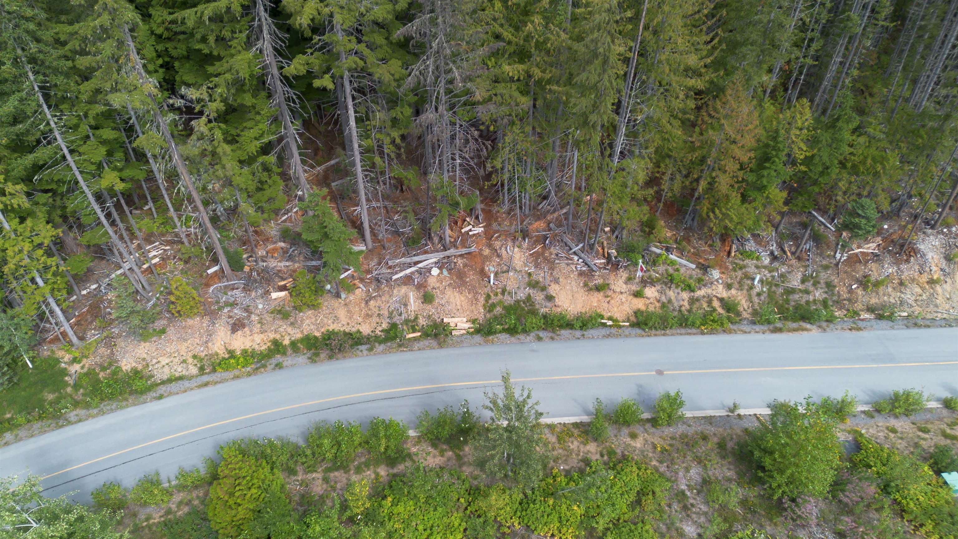 8566 Ashleigh Mcivor Drive, Whistler, V8E 1L9 — photo 3