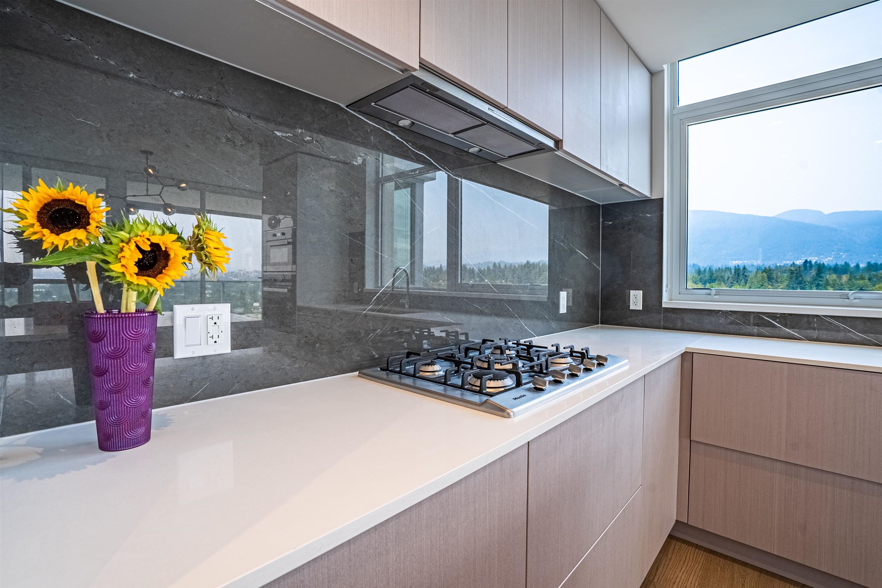 1601 - 1632 Lions Gate Lane, North Vancouver, V7P 0E2 — photo 4