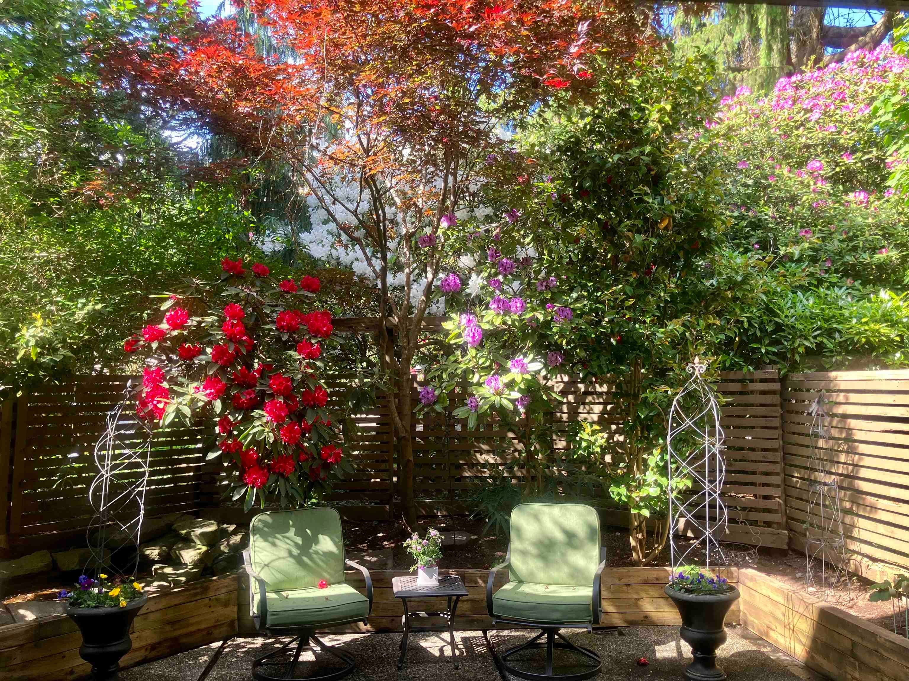 224 - 7055 Wilma Street, Burnaby, V5E 4B1 — photo 4