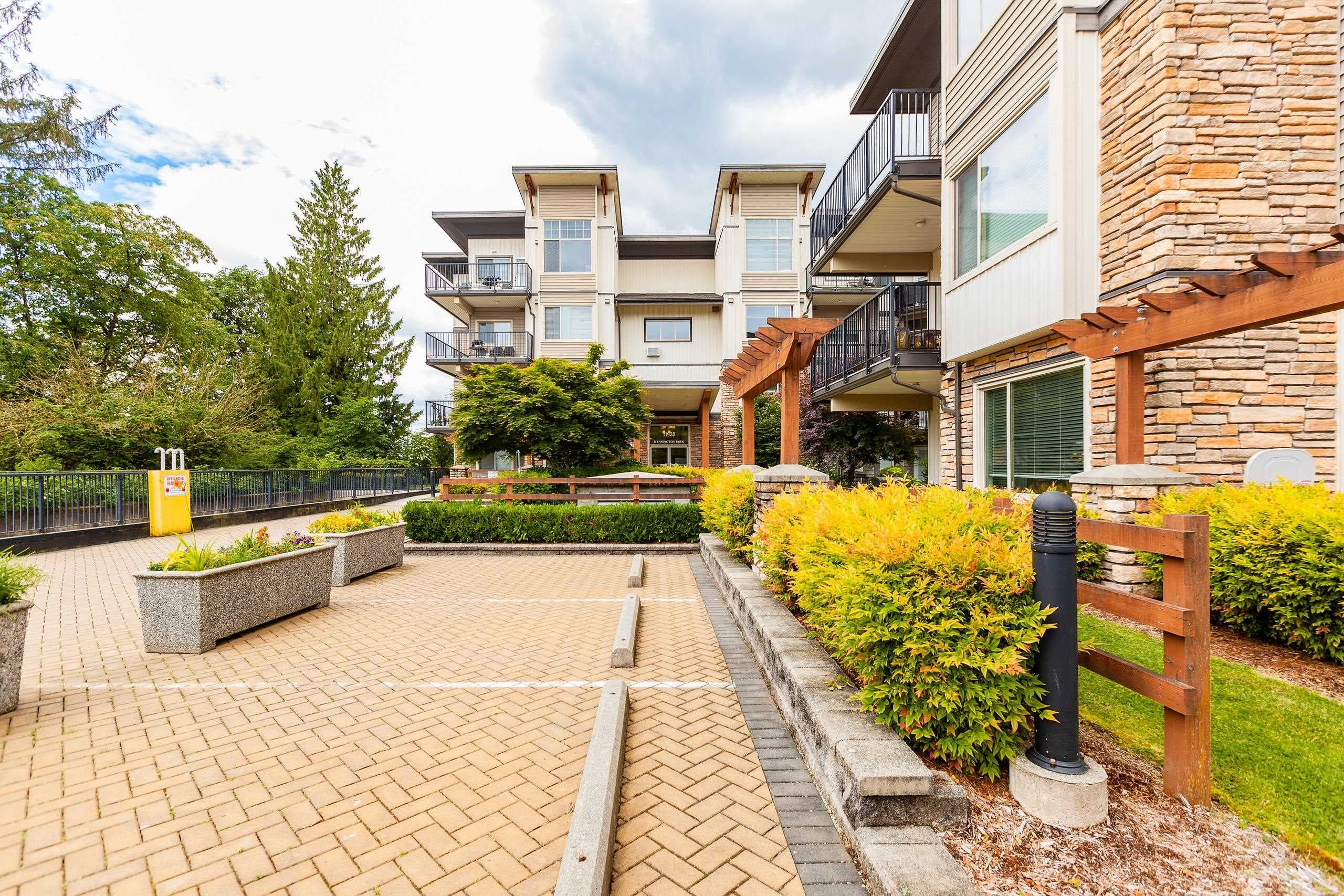 109 - 11935 Burnett Street, Maple Ridge, V2X 9A9 — photo 5