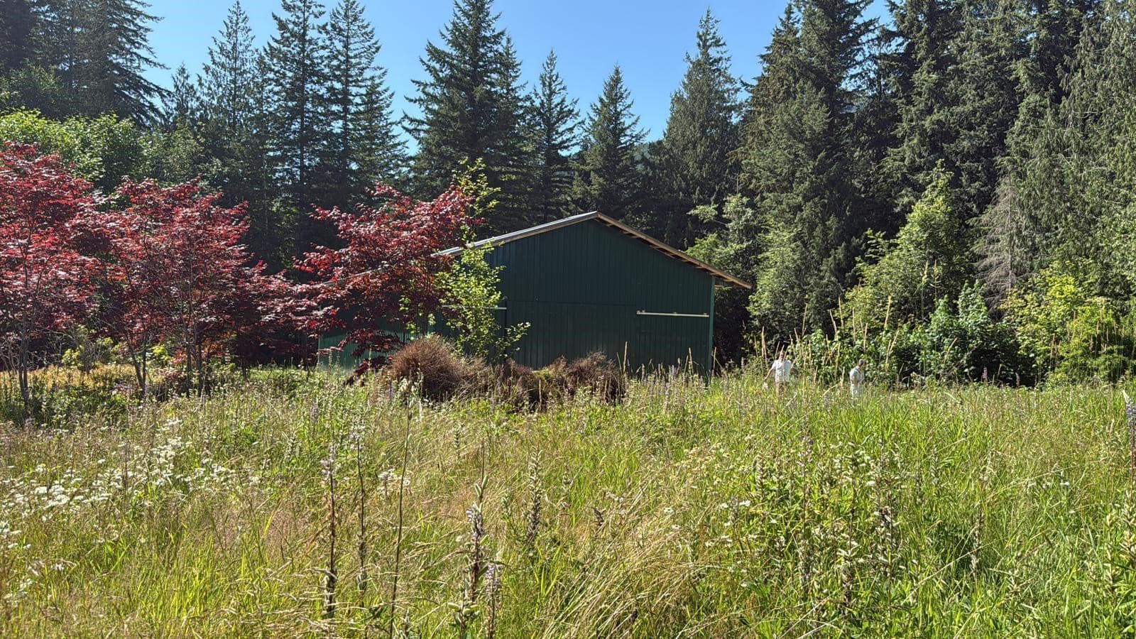 1153 Kosikar Road, Columbia Valley