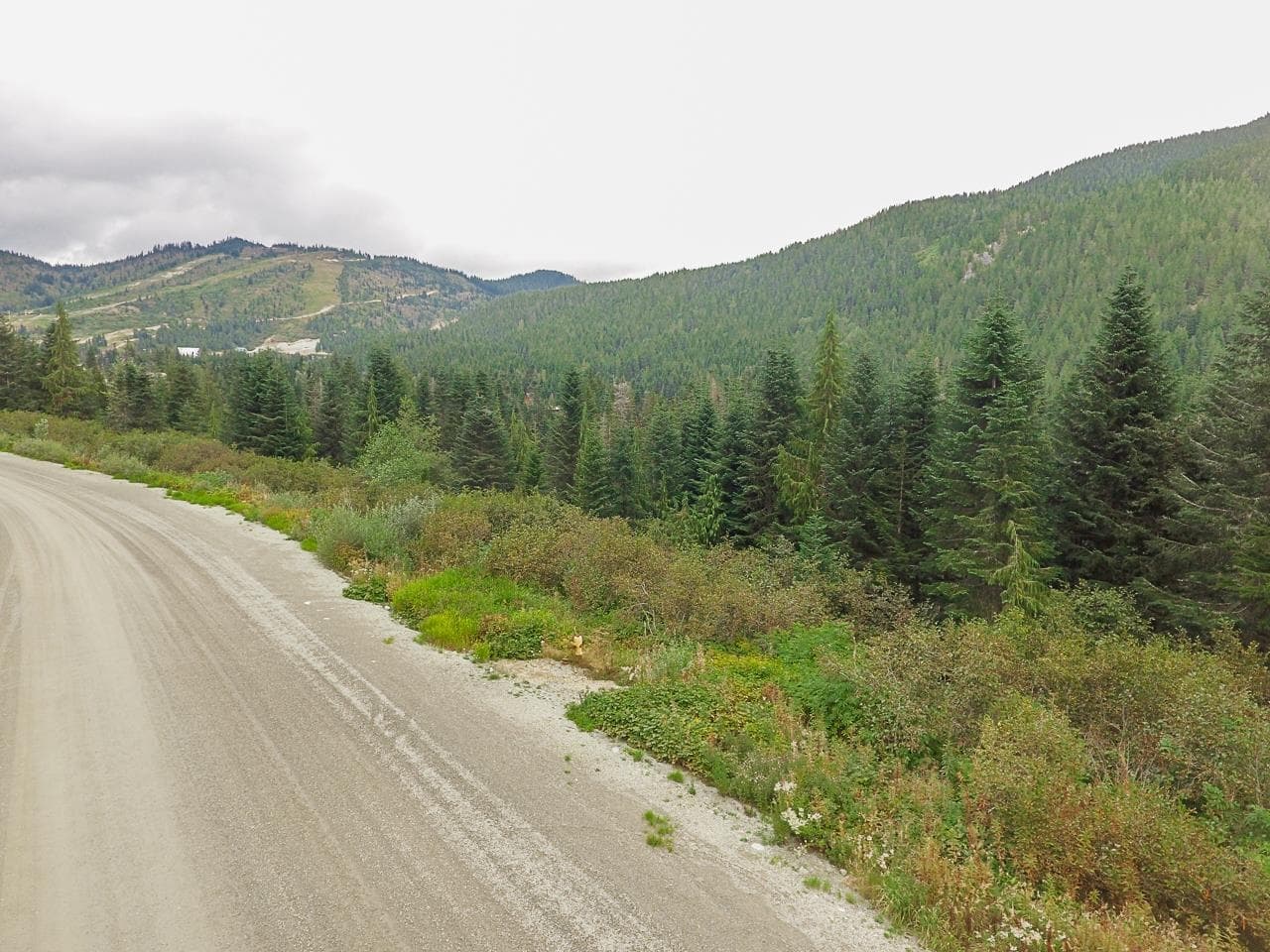 20478 Edelweiss Drive, Mission, V0M 1A1 — photo 3