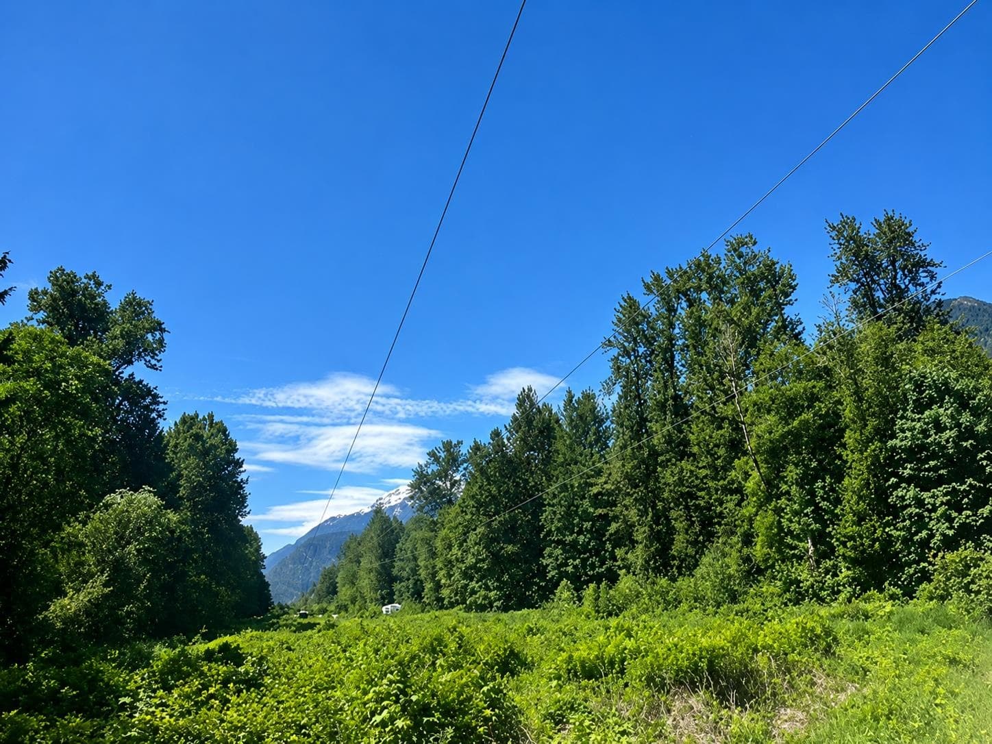 146 Doghaven Lane, Squamish, V8B 0C2 — photo 2