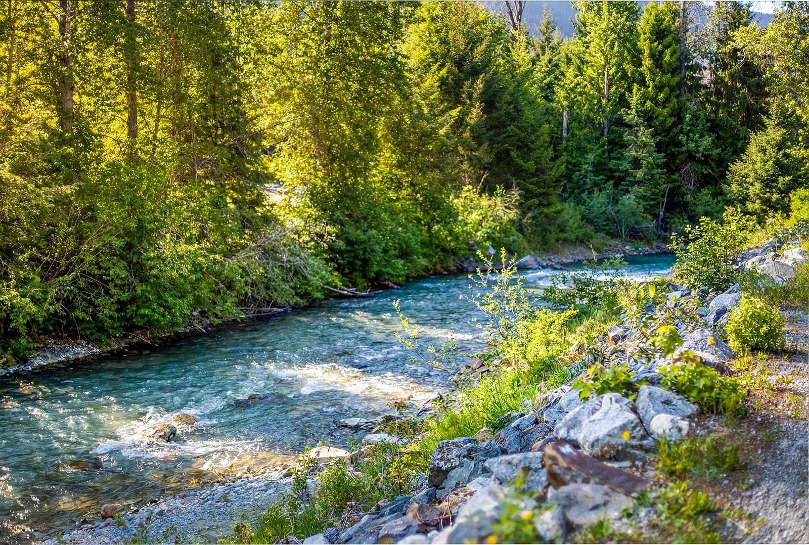 7231 N Fitzsimmons Road, Whistler, V8E 0E3 — photo 3