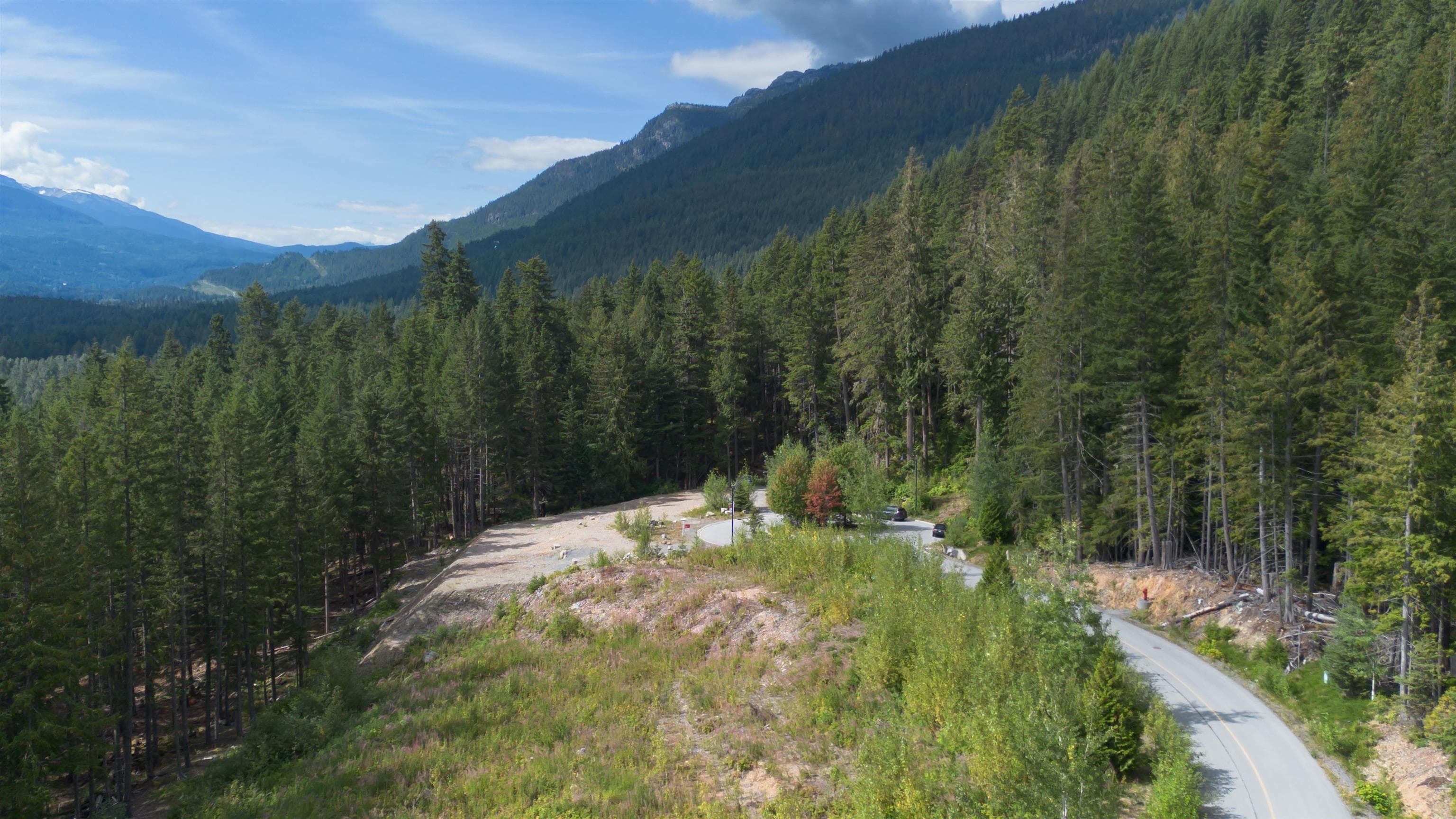 8591 Ashleigh Mcivor Drive, Whistler, V8E 1L9 — photo 3