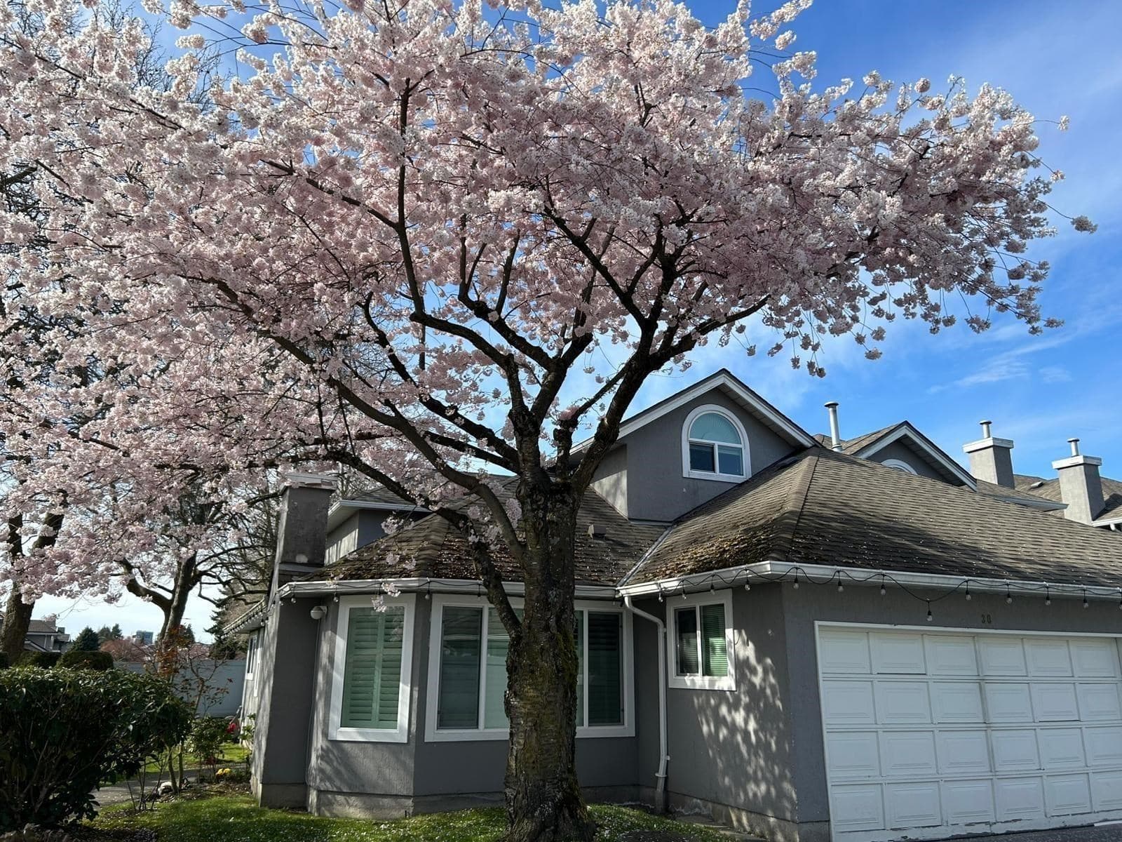 30 - 9731 Capella Drive, Richmond