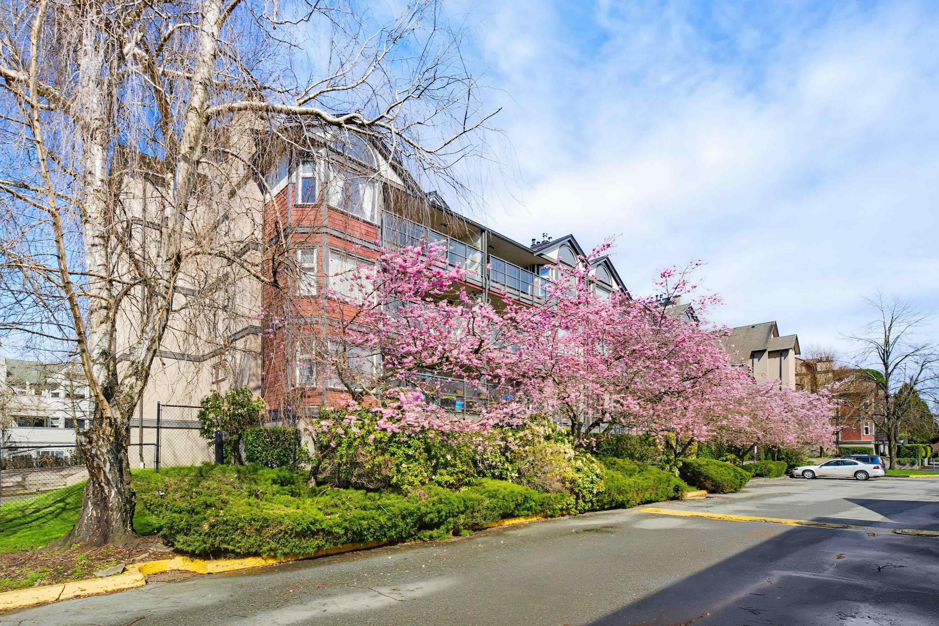 D205 - 4845 53 Street, Delta