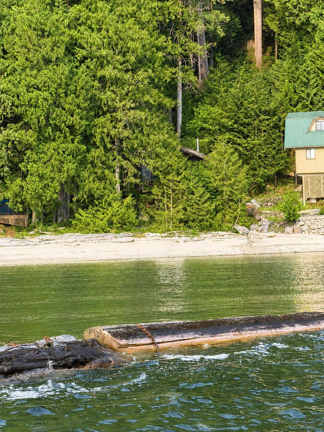 9 Osprey Creek, Pitt Meadows, V0V 0V0 — photo 2
