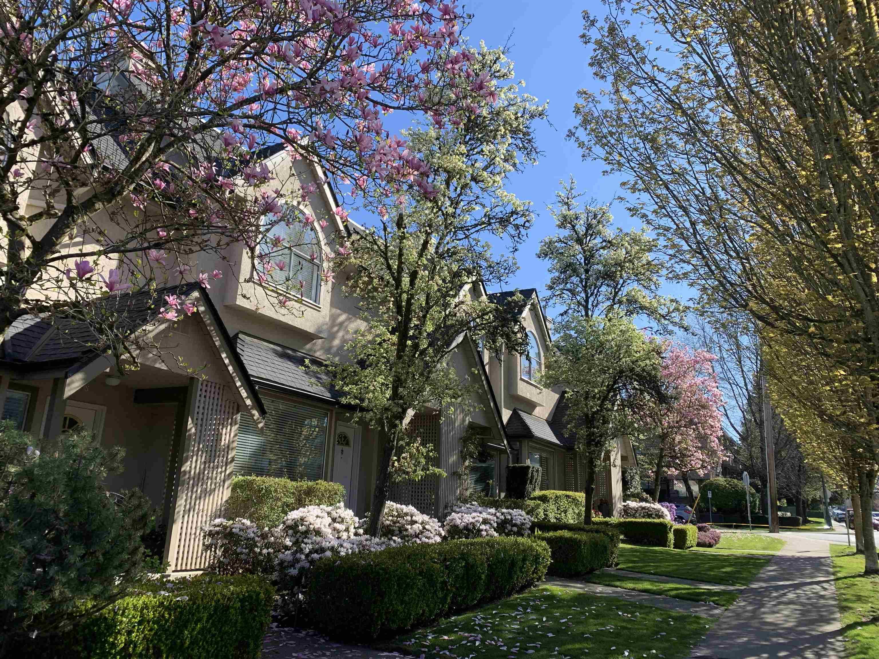 4 - 1701 Chesterfield Avenue, North Vancouver