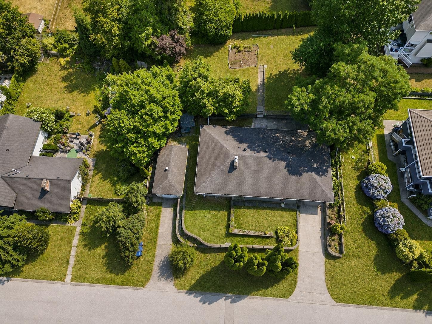 11028 129a Street, Surrey, V3T 3L1 — photo 4