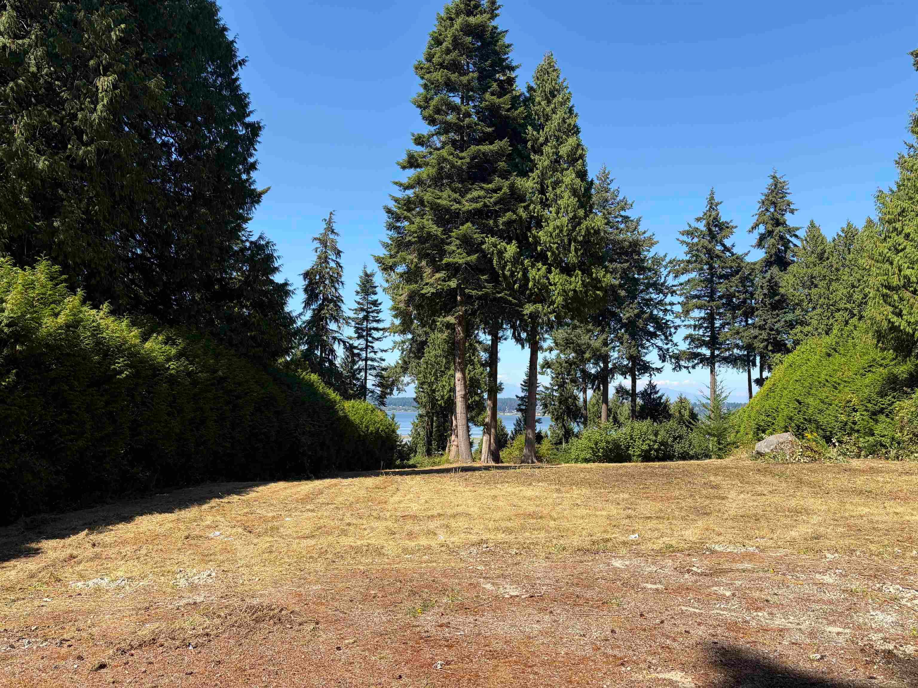 13005 Crescent Road, Surrey, V4P 1J6 — photo 3