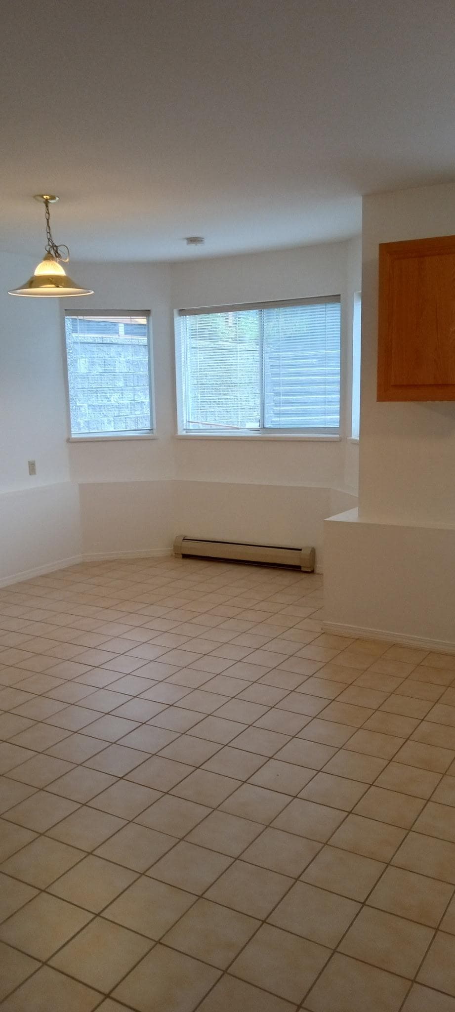 lower level - 1073x Walnut Close, Surrey, V4N 1W2 — photo 3