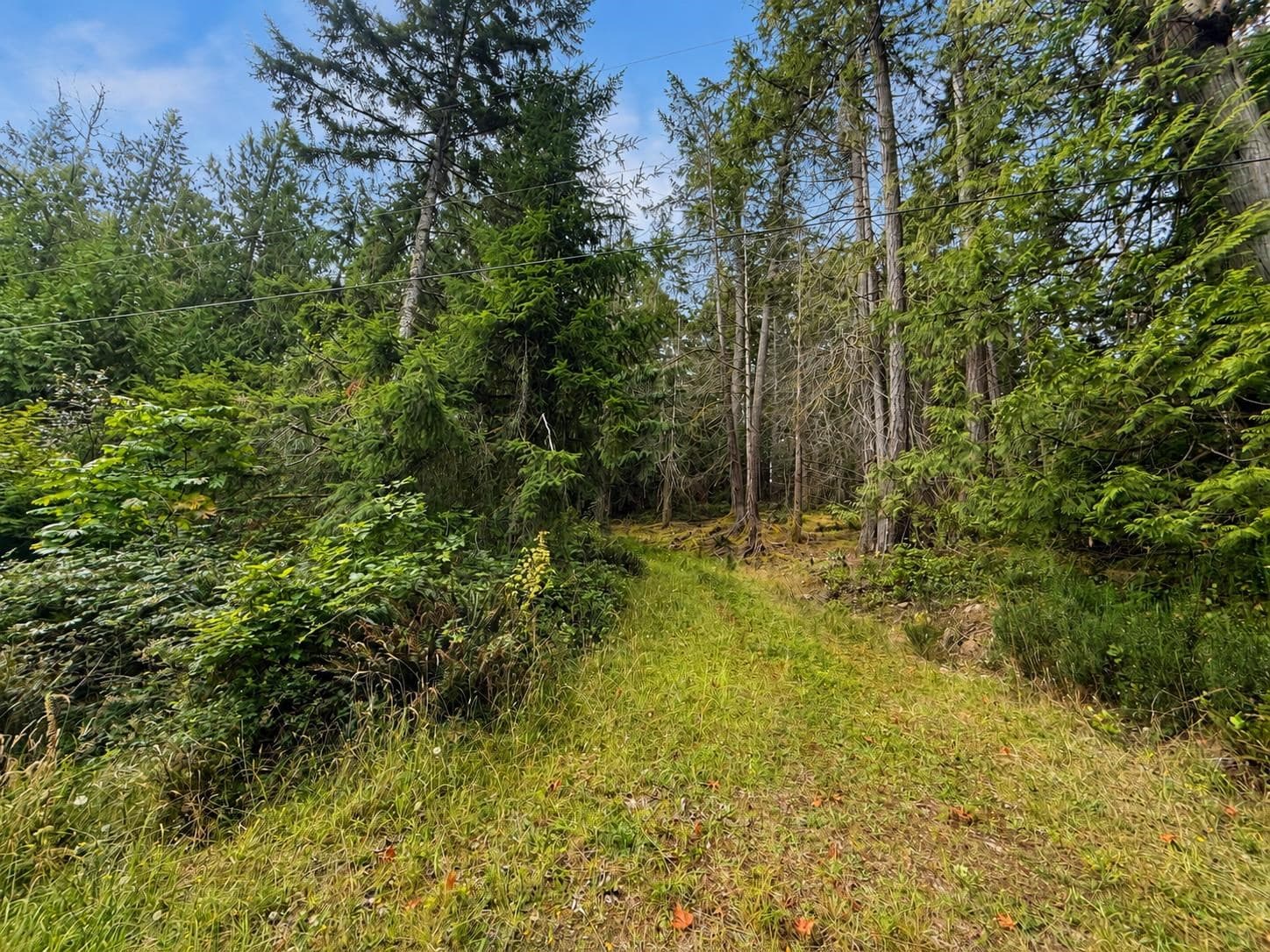 364 Linklater Road, Galiano Island, V0N 1P0 — photo 2
