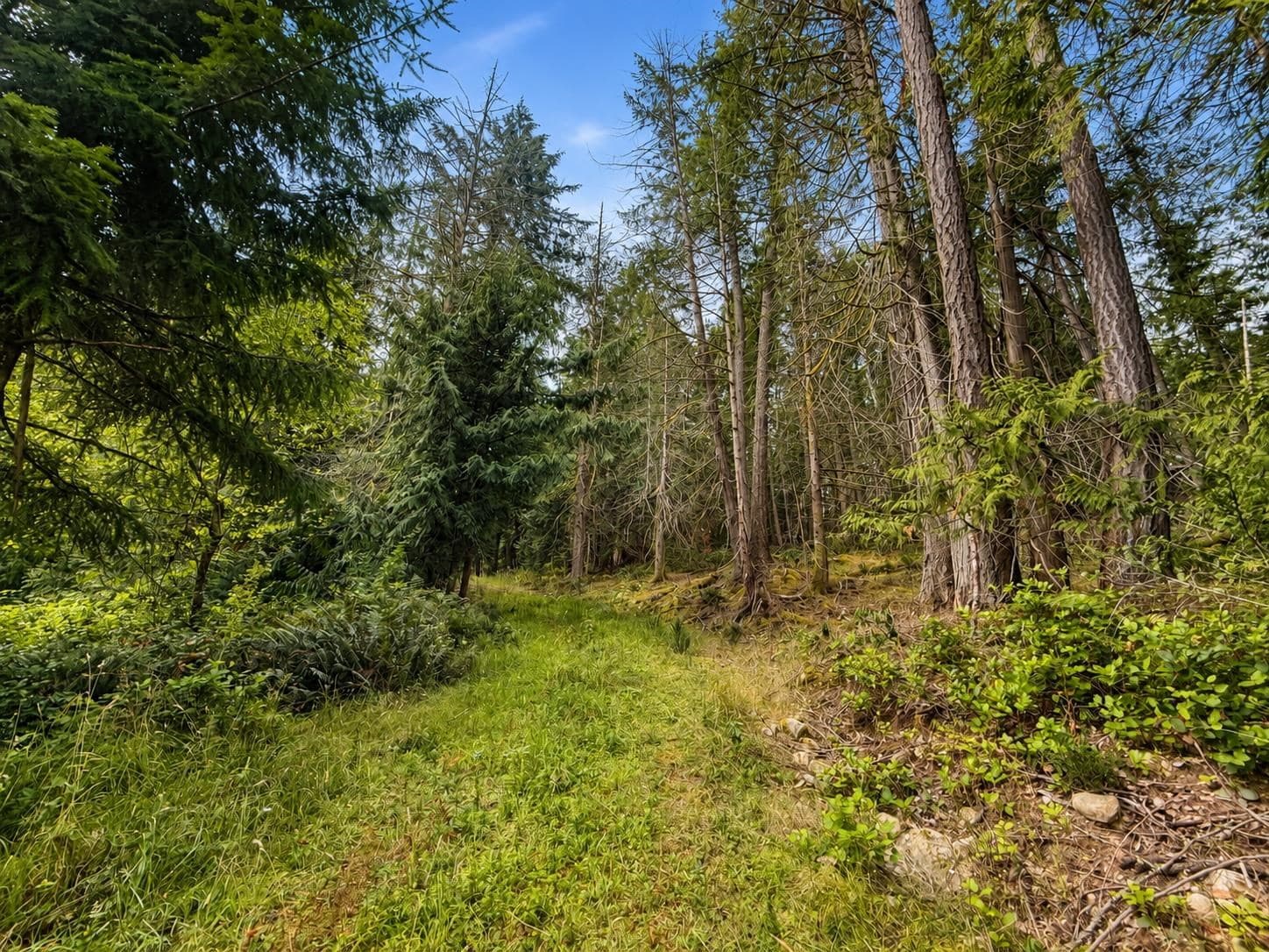 364 Linklater Road, Galiano Island, V0N 1P0 — photo 3