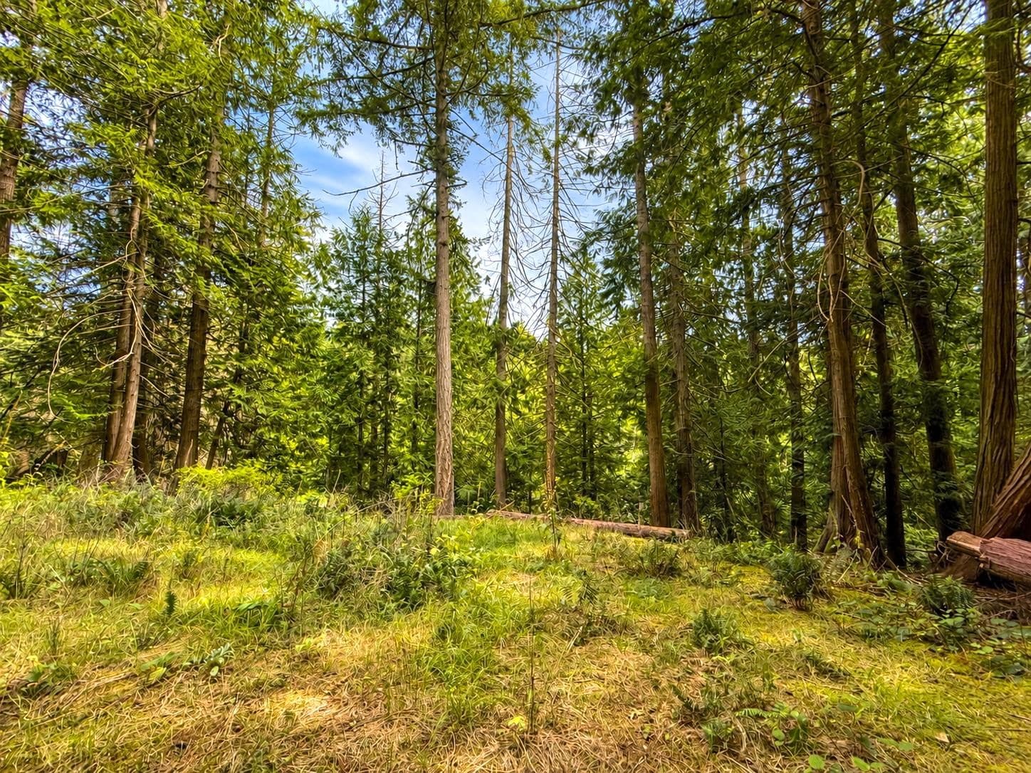 364 Linklater Road, Galiano Island, V0N 1P0 — photo 1