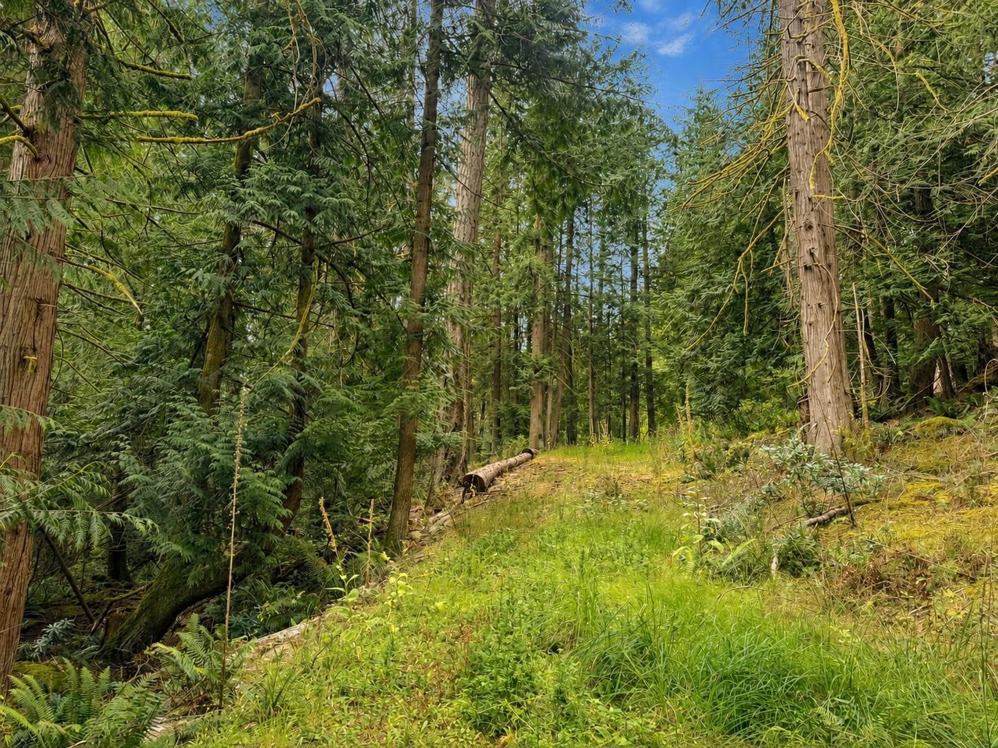 364 Linklater Road, Galiano Island, V0N 1P0 — photo 5