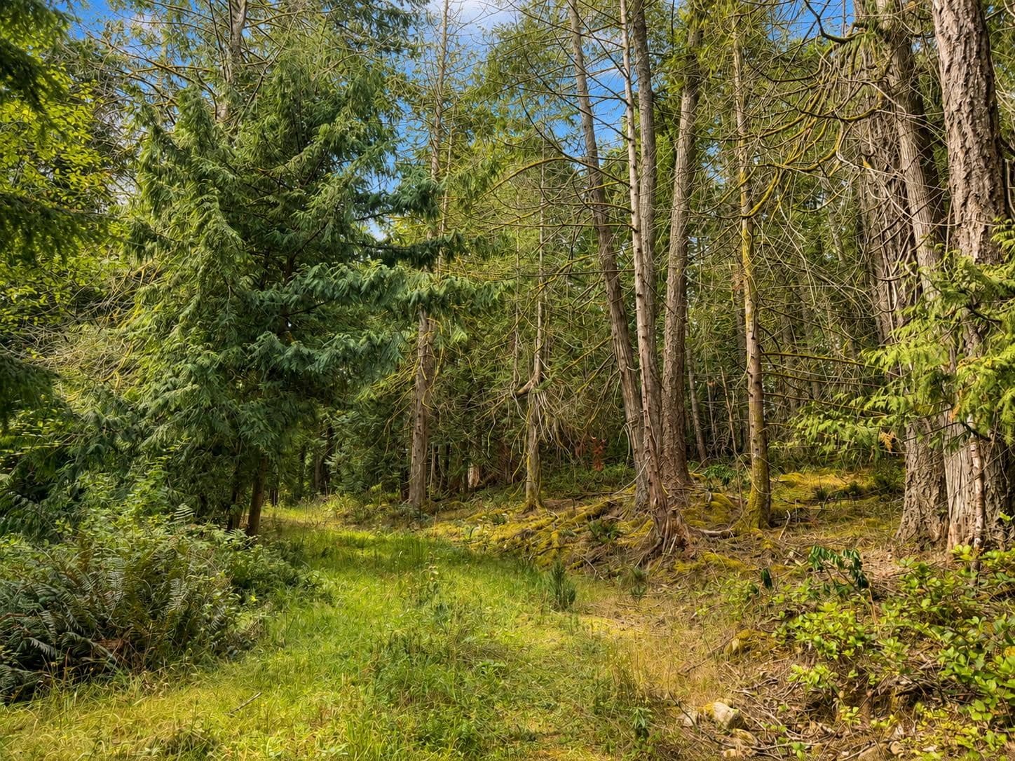 364 Linklater Road, Galiano Island, V0N 1P0 — photo 4