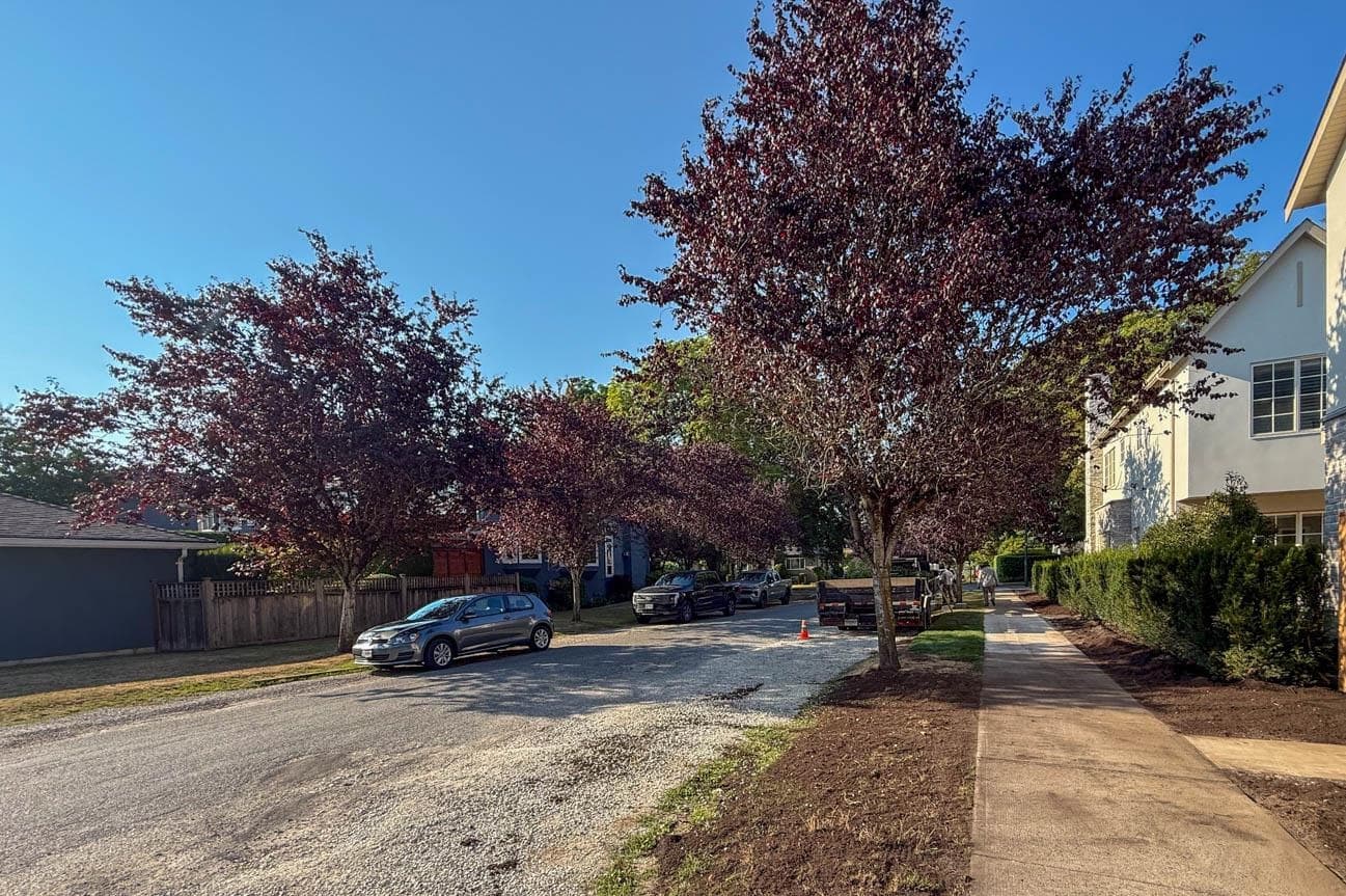 3038 Vine, Vancouver, V6K 2Y9 — photo 3