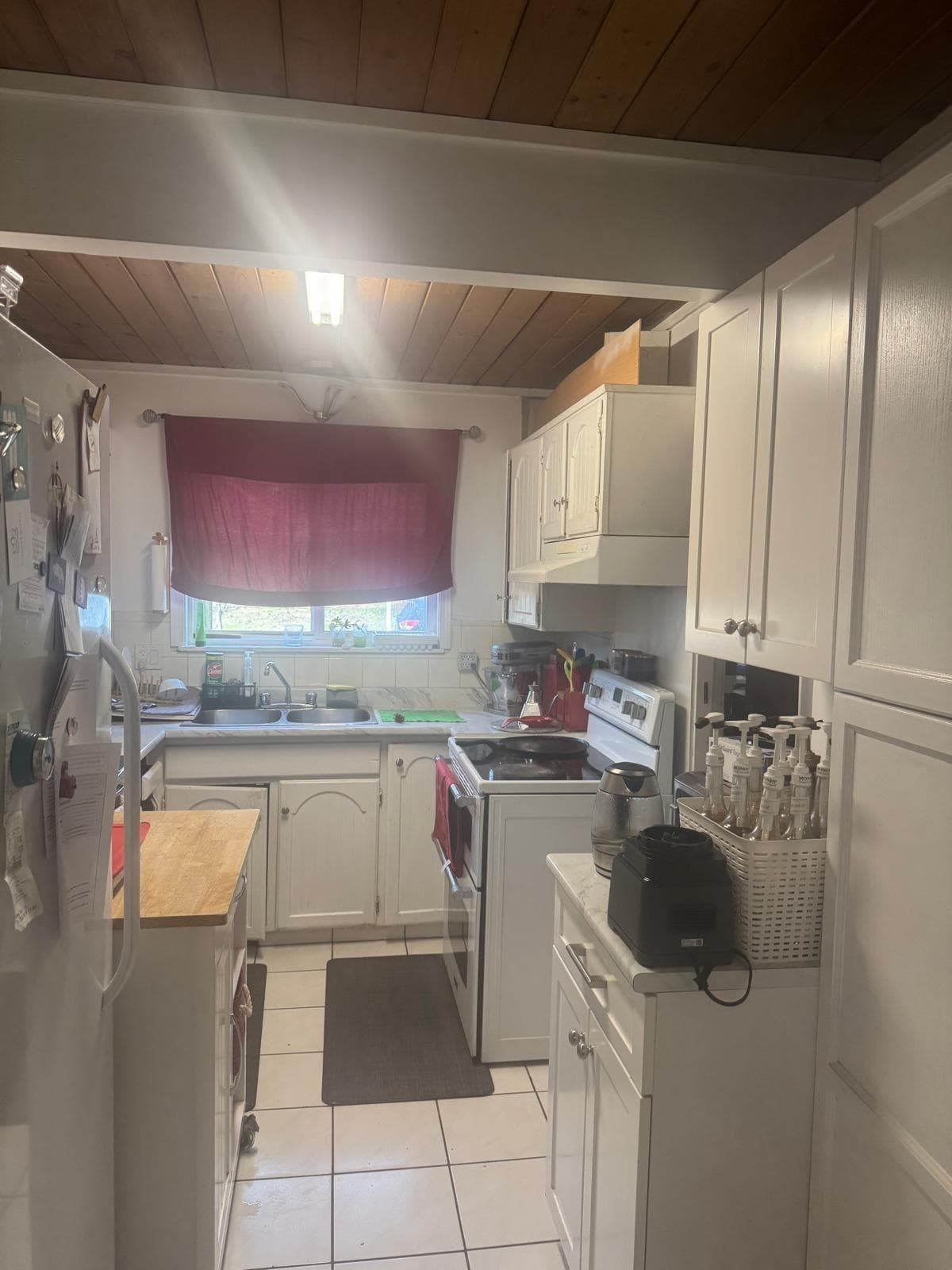 7782 Swanson Drive, Delta, V4C 5C5 — photo 4
