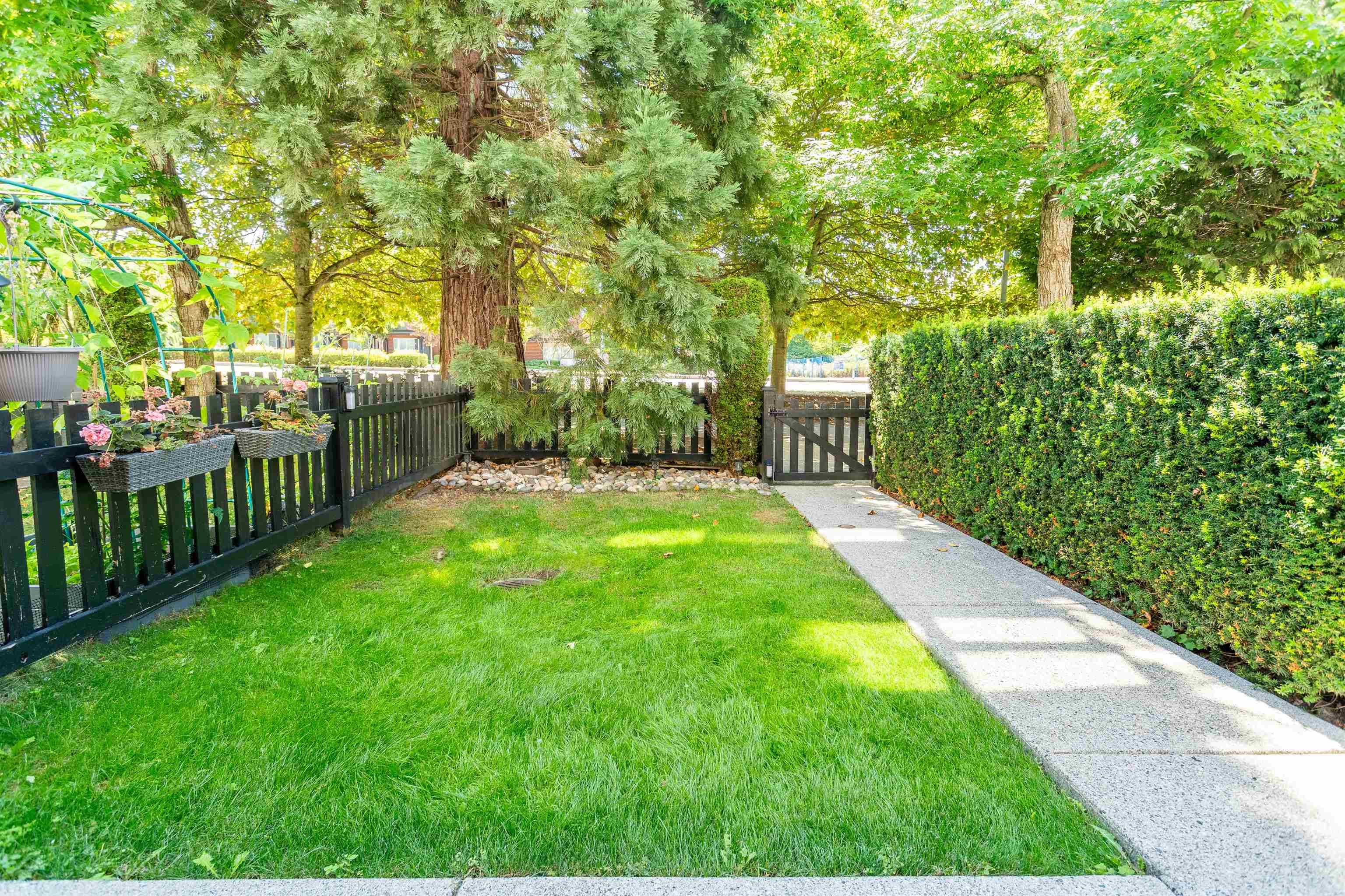 46 - 2450 161a Street, Surrey, V3Z 8K4 — photo 3