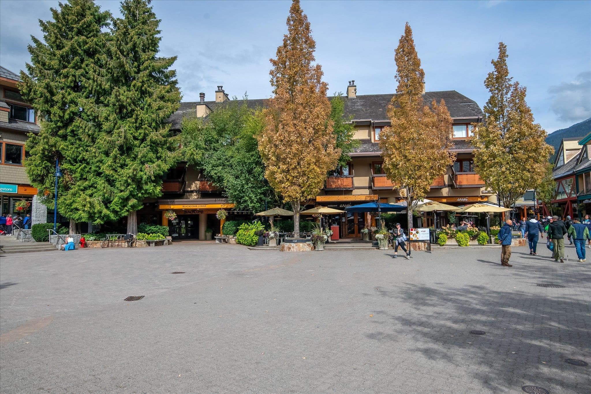 229 - 4220 Gateway Drive, Whistler, V8E 0Z7 — photo 2