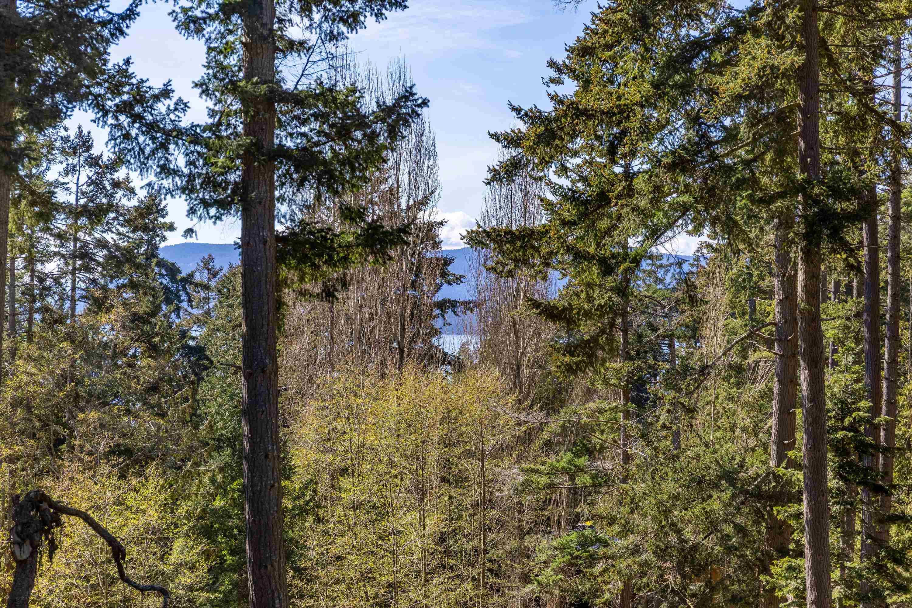 2635 Shoal Road, Pender Island, V0N 2M2 — photo 3