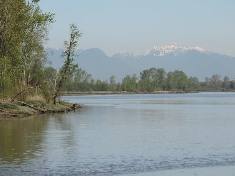 1FH - 4515 W River Road, Delta, V4K 1R9 — photo 1