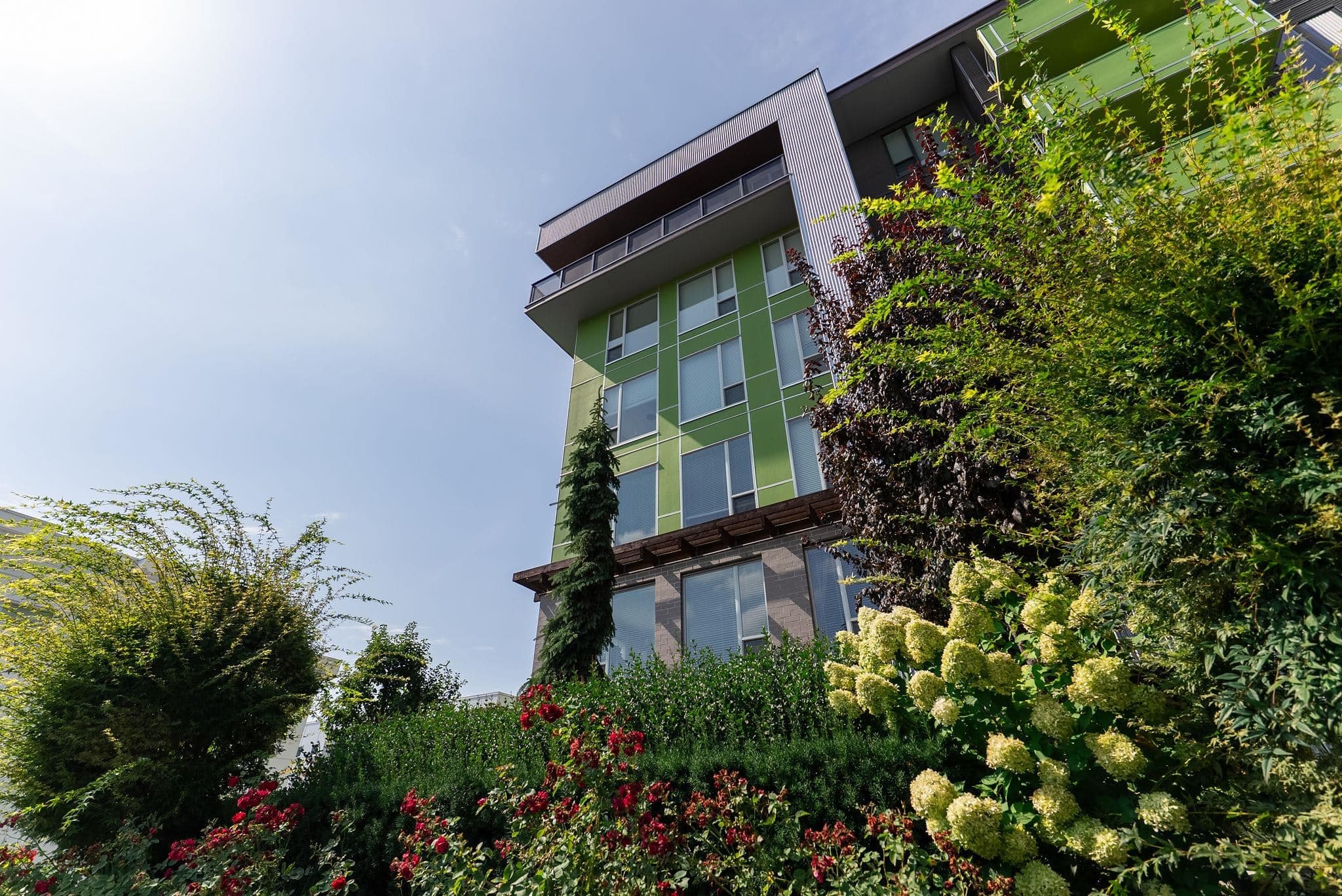 205 - 2565 Ware Street, Abbotsford, V2S 0J5 — photo 4