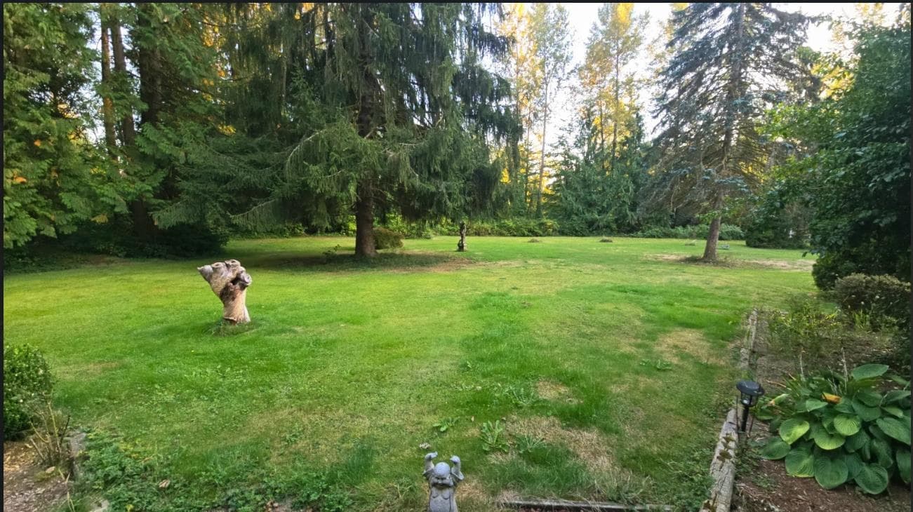 12406 254 Street, Maple Ridge, V4R 1V2 — photo 3