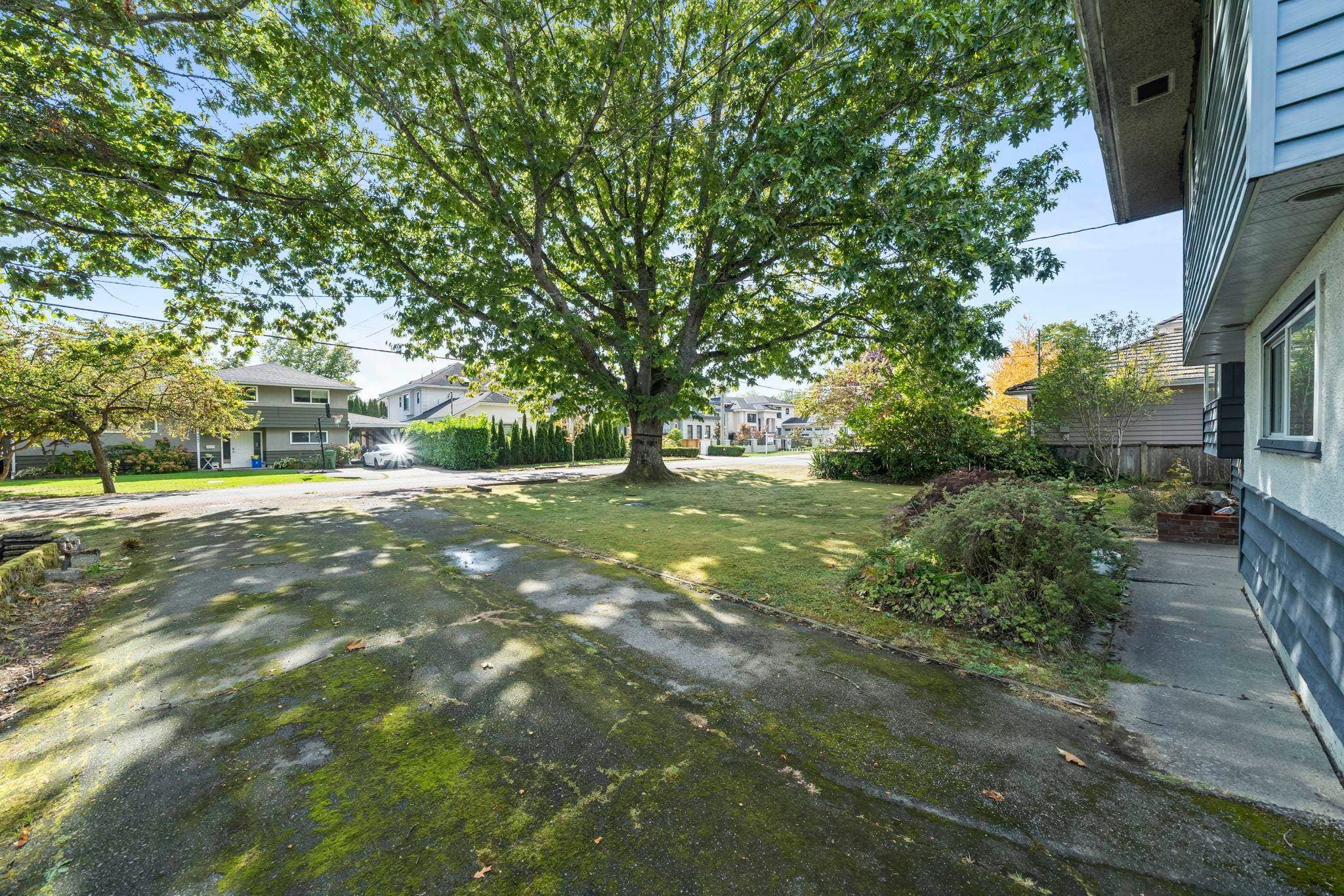 3471 Trumond Avenue, Richmond, V7E 1B4 — photo 4